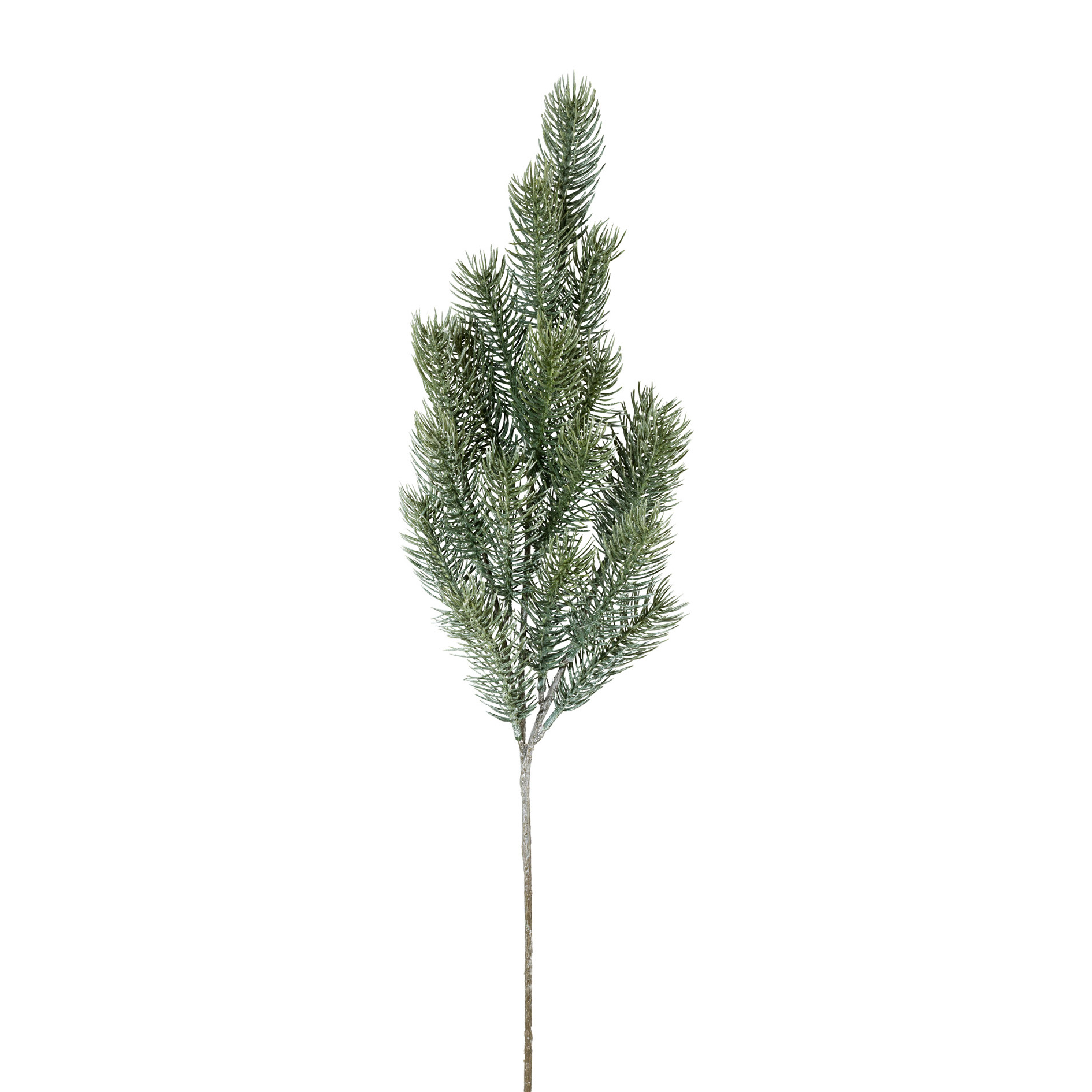 Blautannenzweig x18 - grün, ca. 60cm