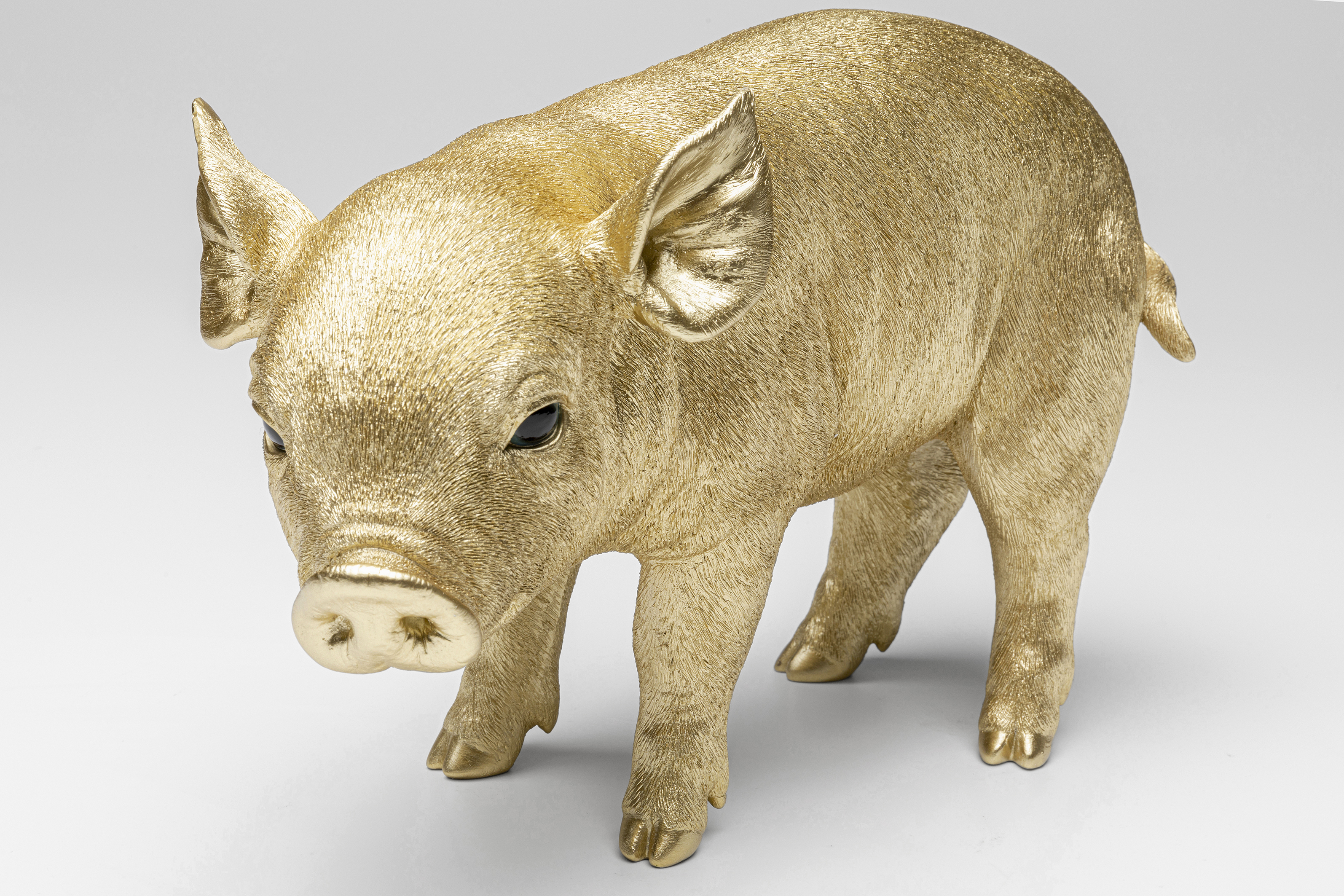 Spardose Baby Pig, goldfarben - Accessoires