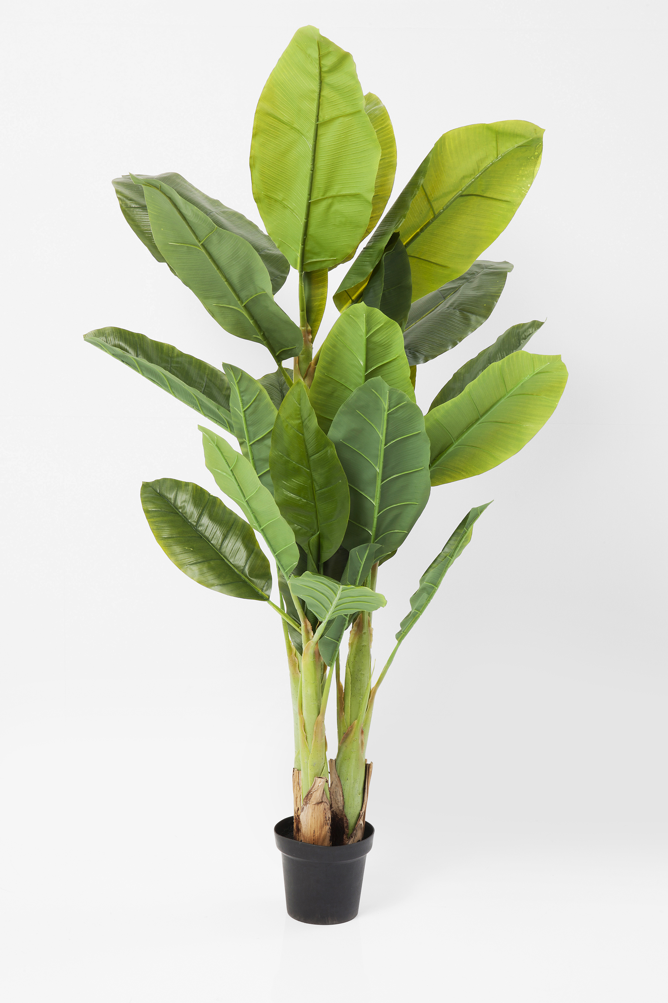Deko Pflanze Banana Tree - Accessoires
