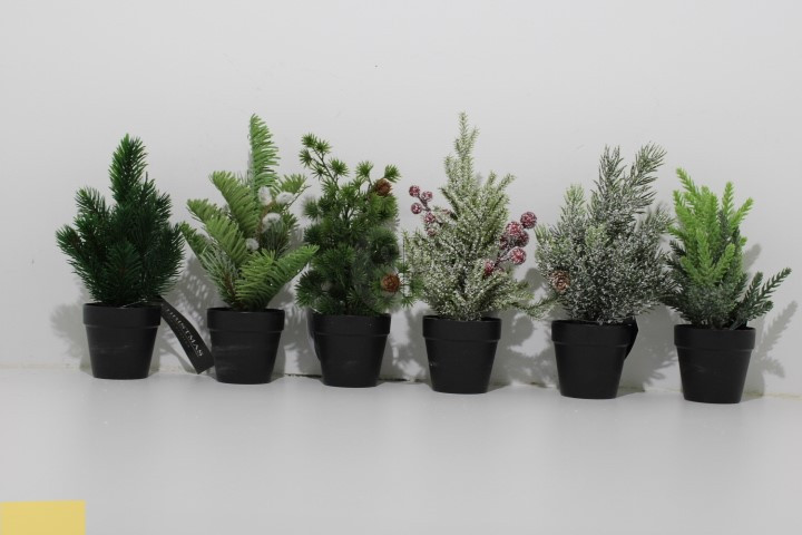 Mini-Weihnachtsbaum im Topf, ca. 23 cm, sort. - 