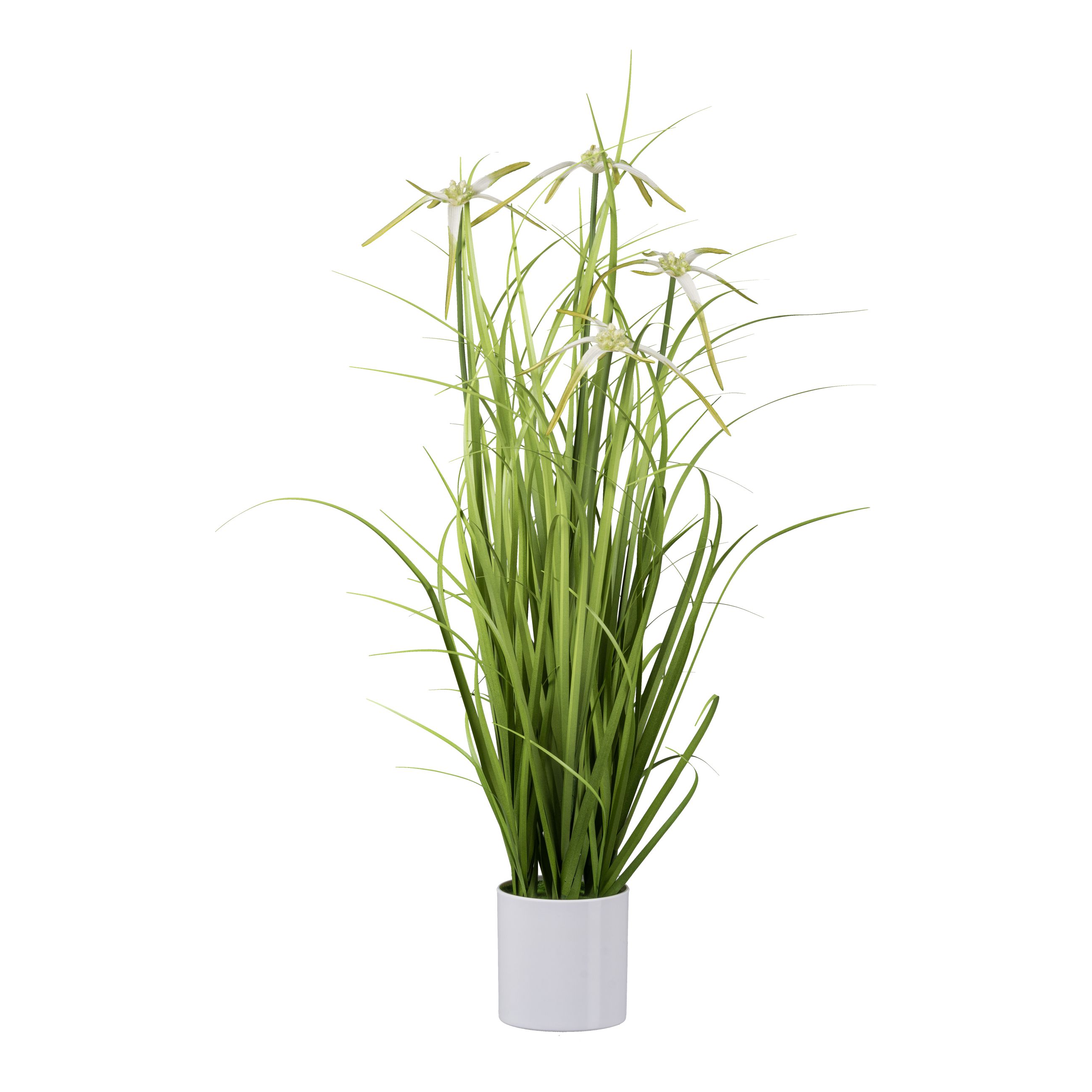 Dekostern - Sternsegge im weißen Melaminetopf, 70 cm, grün