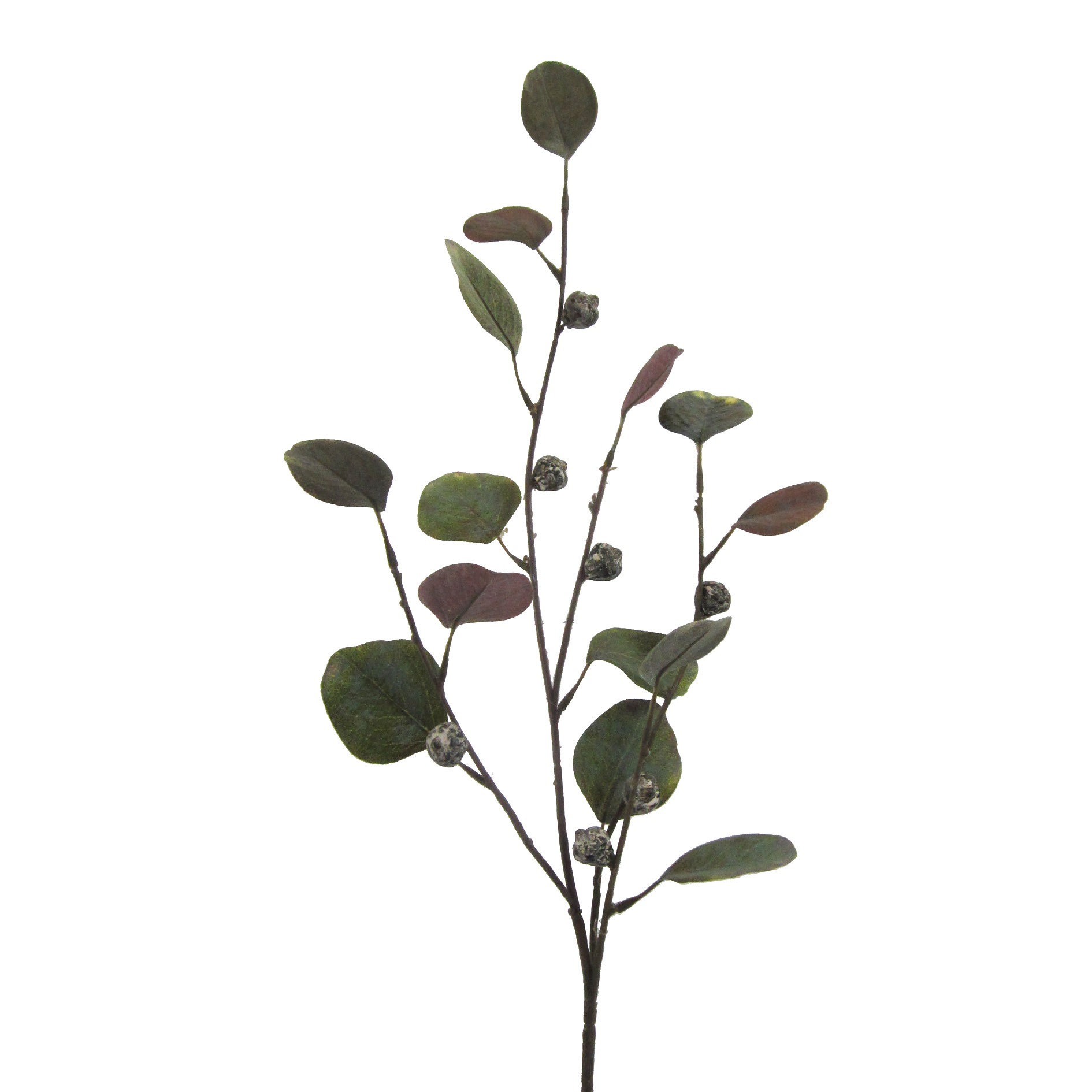 Kunsteukalyptus - Eukalyptuszweig, 73 cm, grün