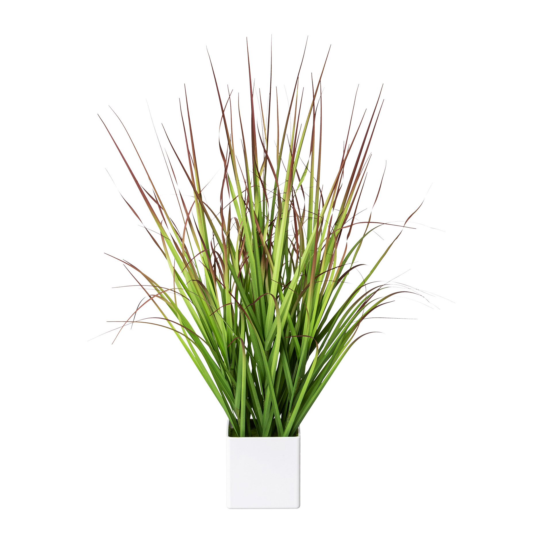 Kunstgras - Blutgras im weißen Topf, 61 cm, grün-rot
