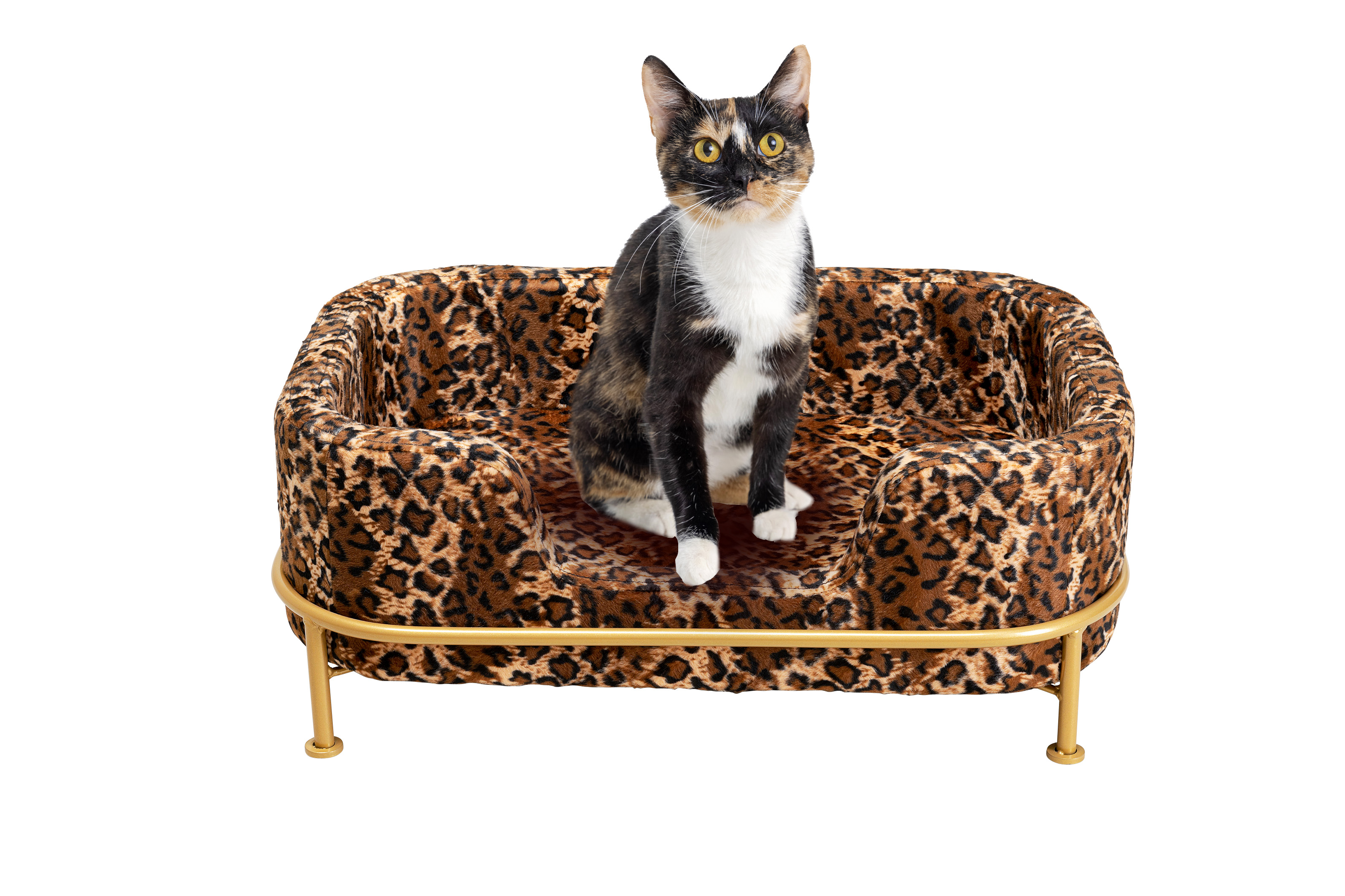 Hund/Katzenbett Diva Leo, Samtoptik - Möbel