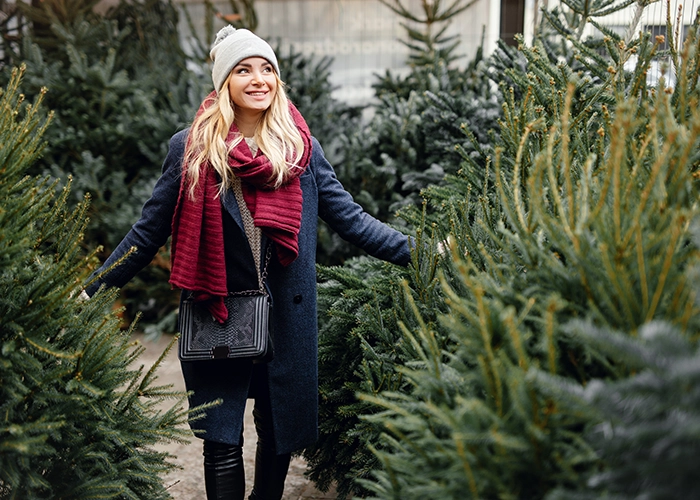 Meyerhoff Weihnachtsbaum-Deal • Nordmanntannen