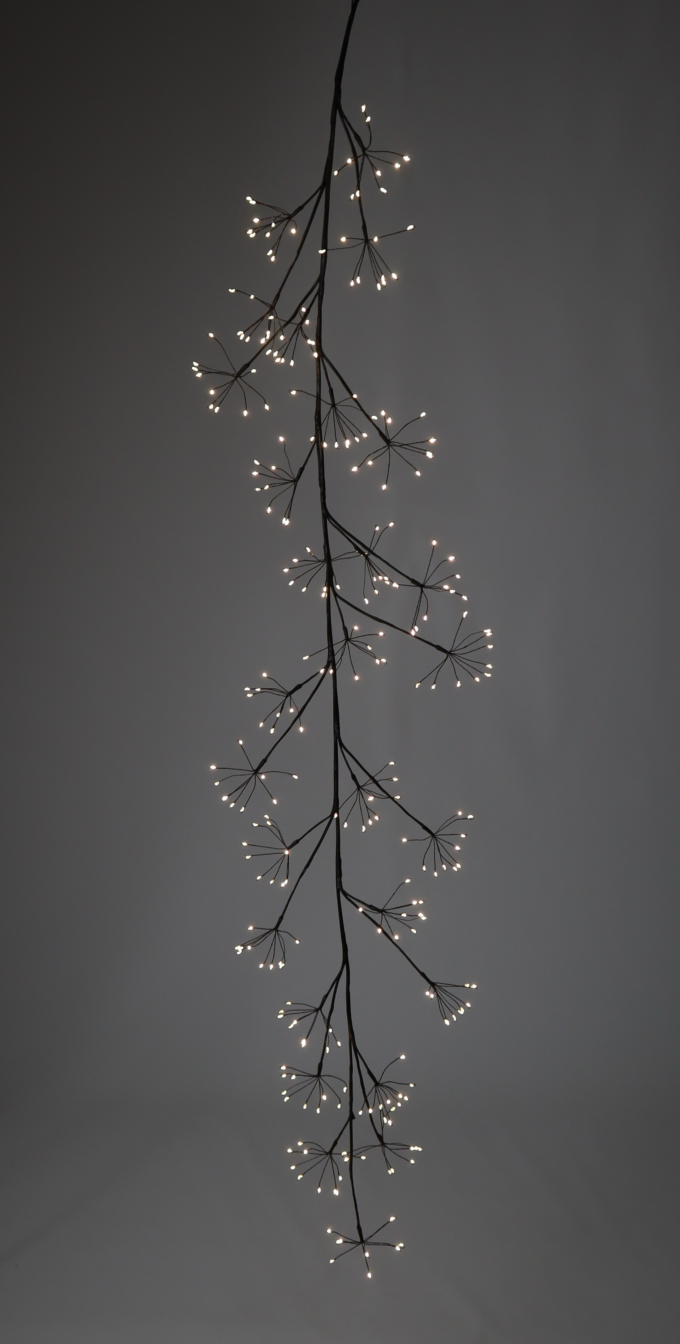 LED Cluster Dolde schwarz 160 Lichter - 120cm Outdoor IP44 4,5V 1,35W Kabel 5m