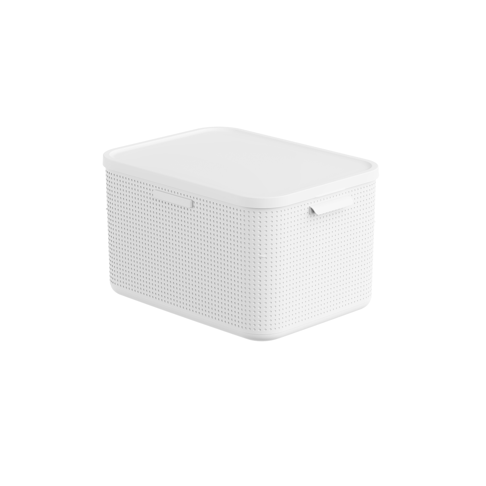 Box  mit Deckel L - MyStyle 3103