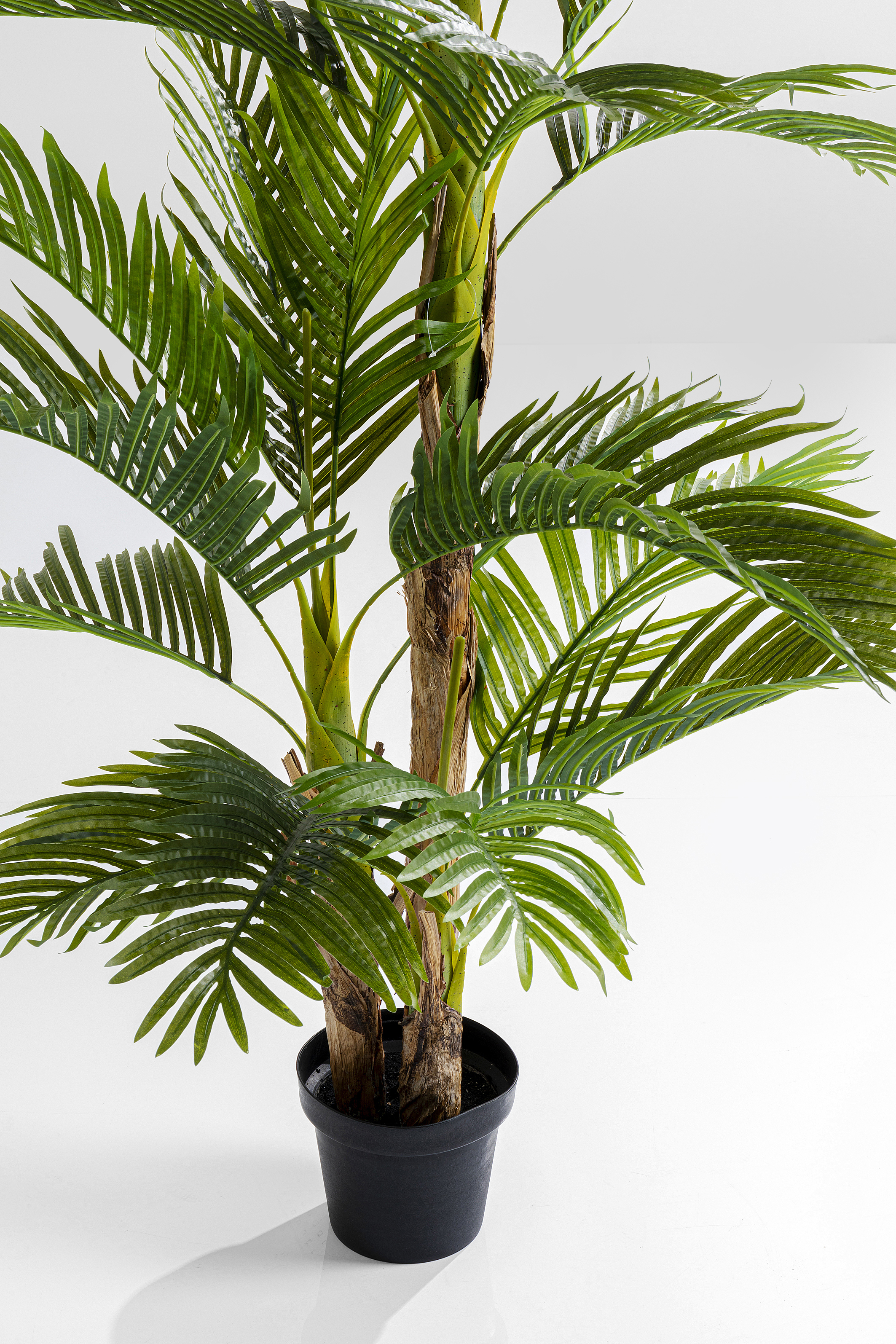 Deko Pflanze Palm Tree - Accessoires