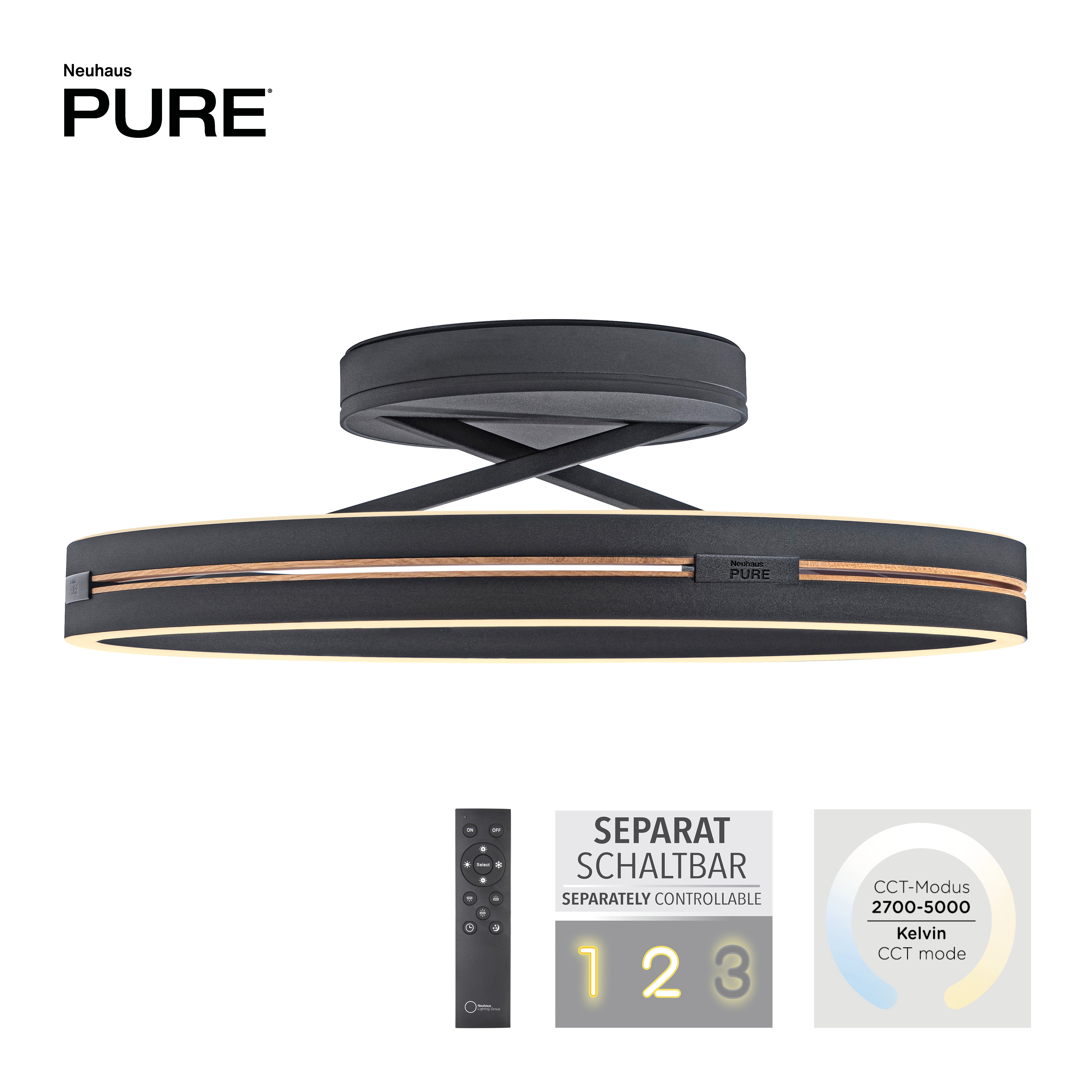 Deckenleuchte PURE Loop - schwarz, mit Fernbedienung