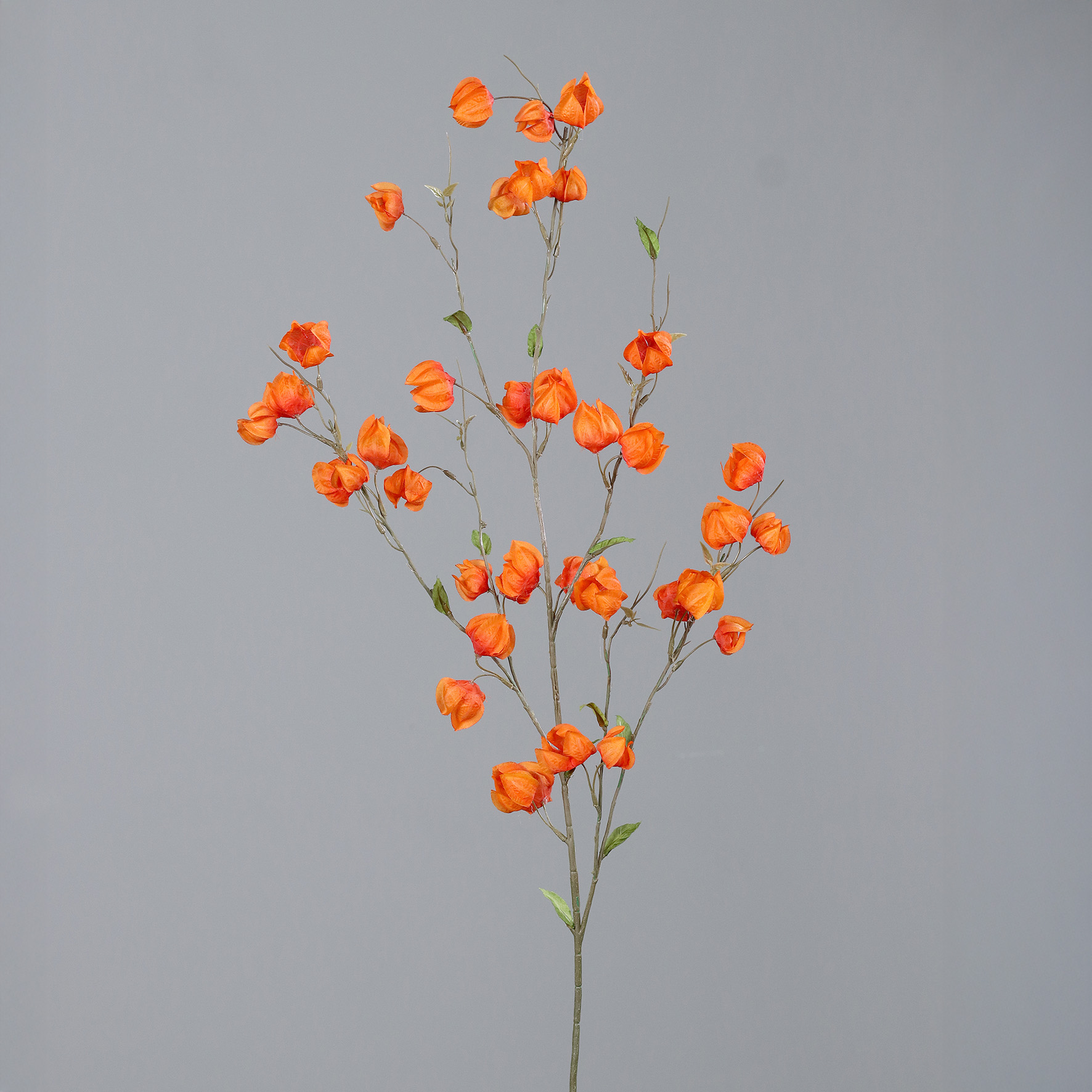 Physalis-Zweig, ca.  114 cm - orange