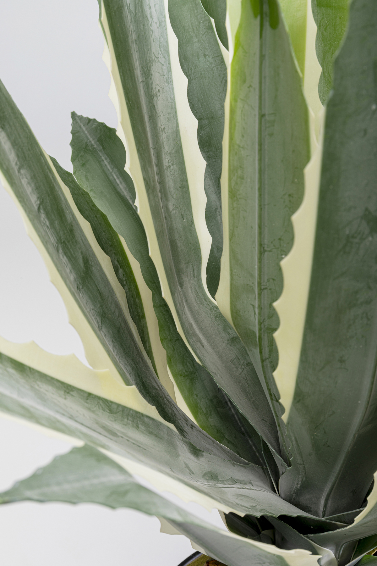 Deko Pflanze Agave - Accessoires
