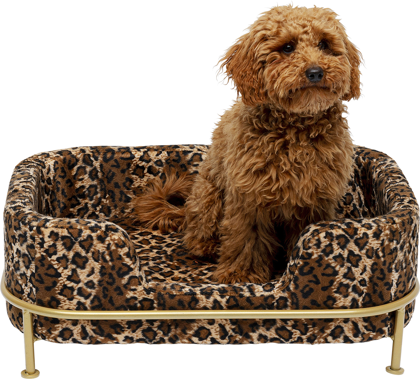 Hund/Katzenbett Diva Leo, Samtoptik - Möbel