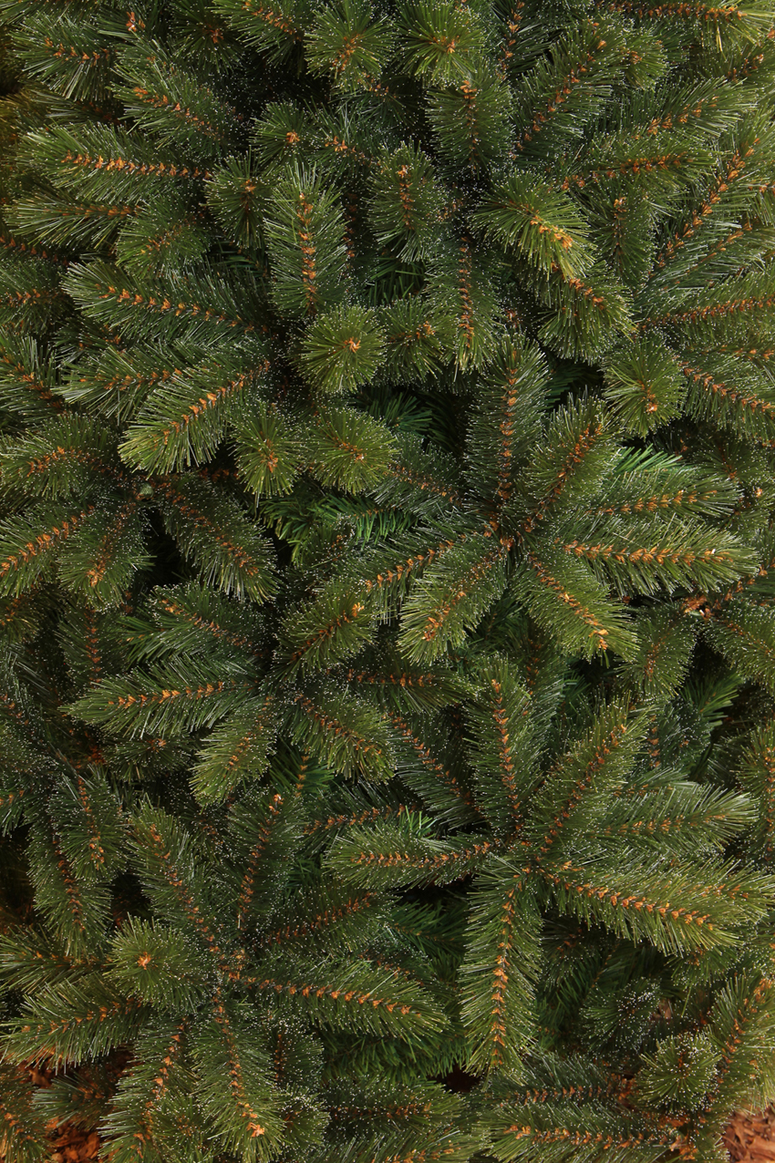 Tannenbaum Waldkiefer - TIPS 396 - h120xd99cm