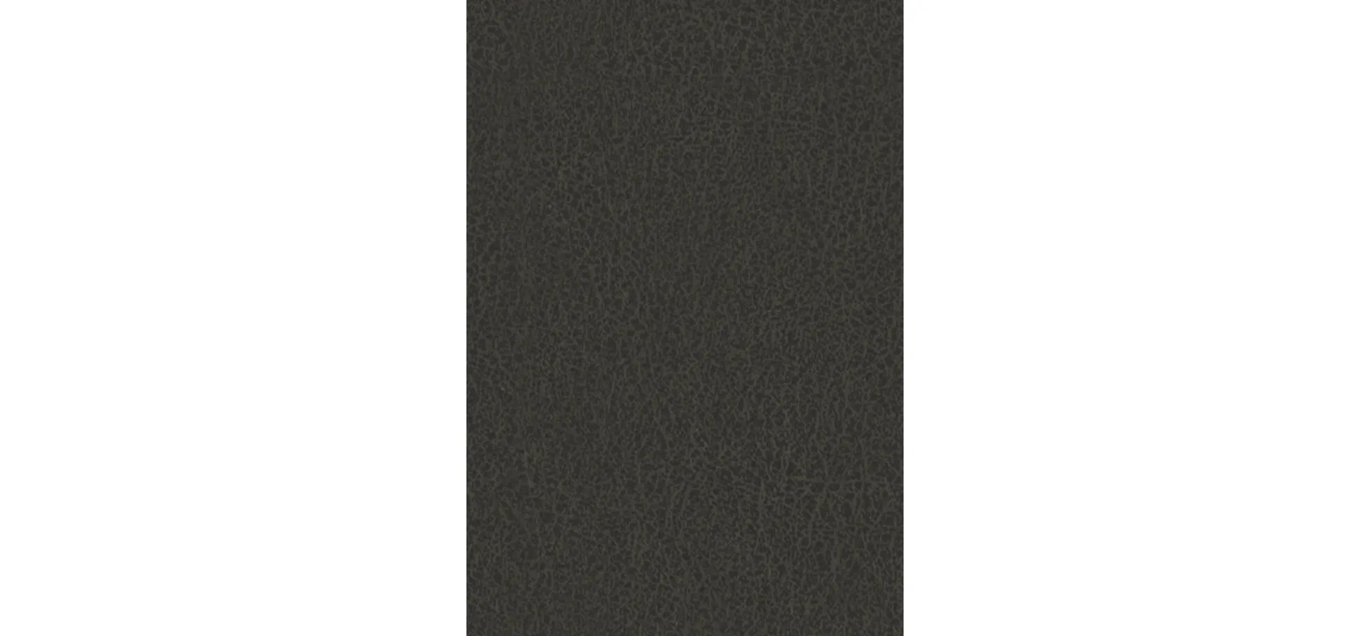 Sofa CALM PLUS - 2,5-Sitzer, Microfaser, Anthrazit
