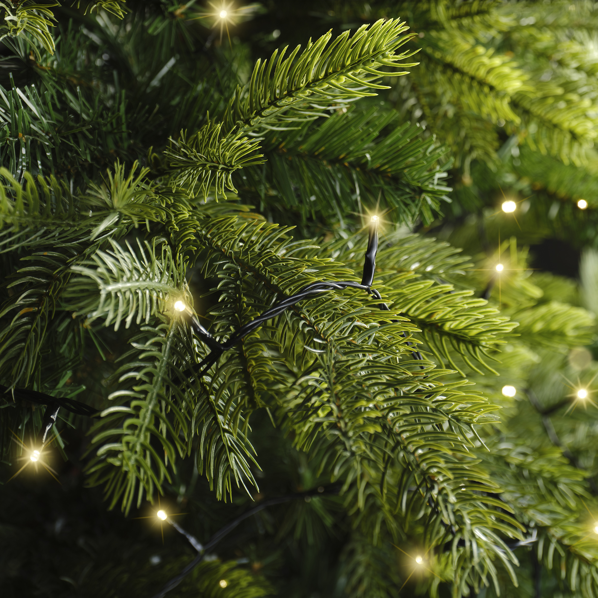 LED Basic-Beleuchtung - Schwarz/Soft gold, PVC, 1350cm-180L