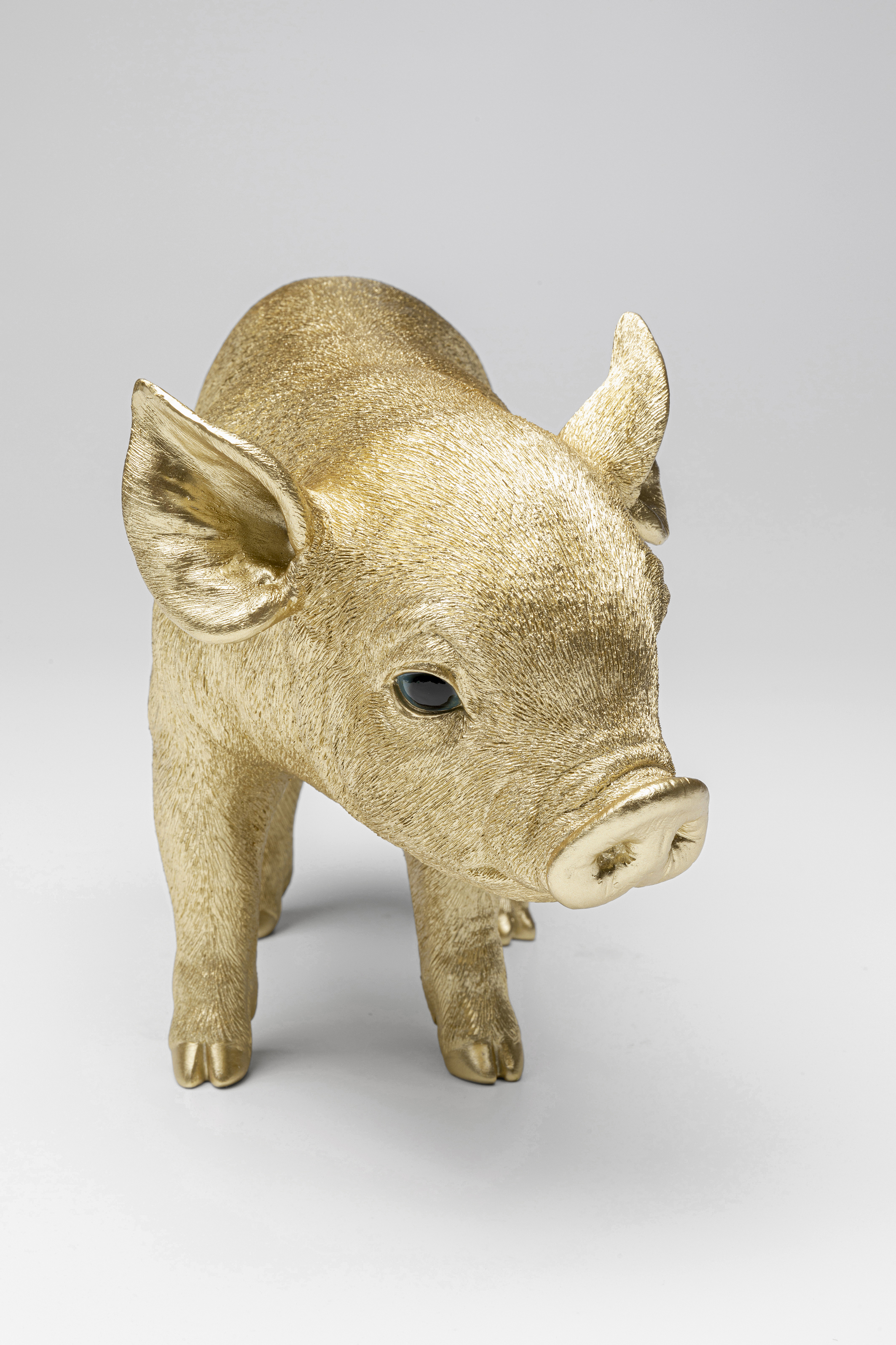 Spardose Baby Pig, goldfarben - Accessoires