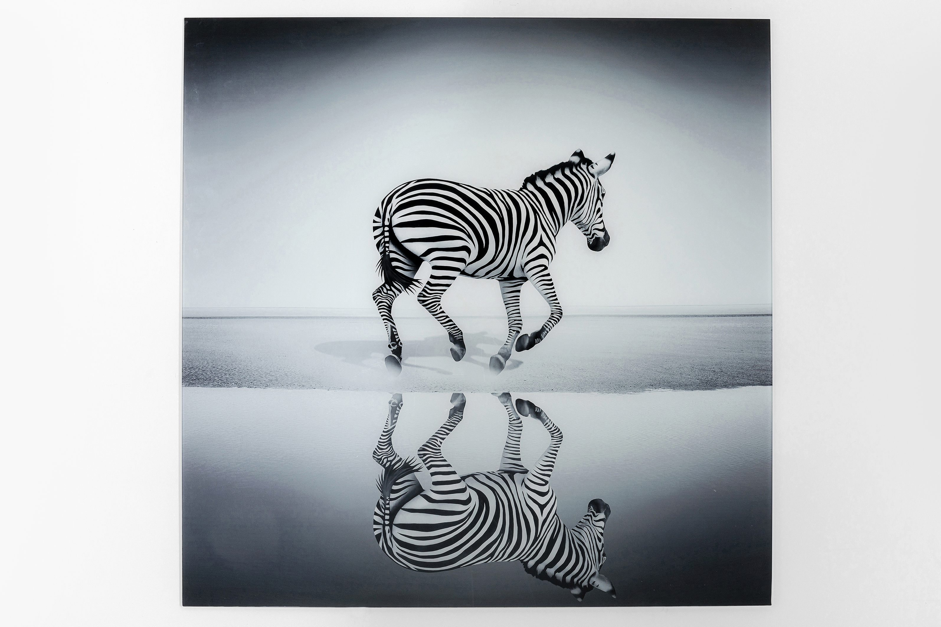 Bild Glas Savanne Zebra - Luxury