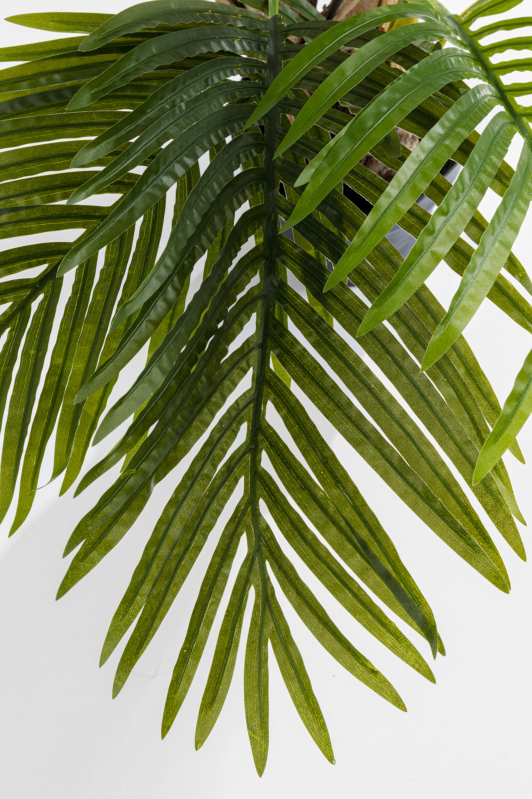 Deko Pflanze Palm Tree - Accessoires