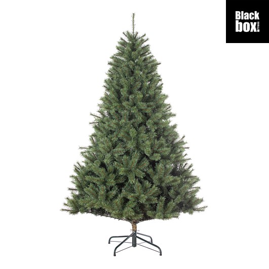 Tannenbaum Norwood - TIPS 1350 - h215xd137cm