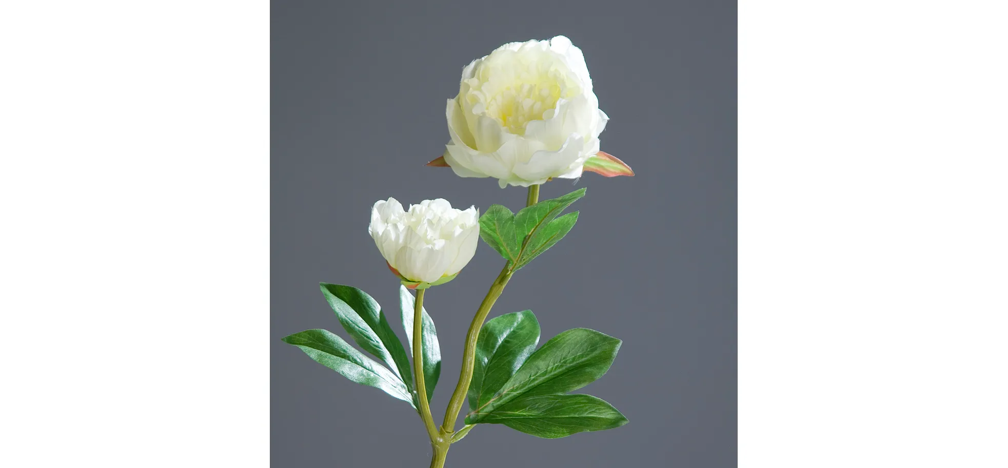Deko Päonie - L ca. 60 cm, Creme