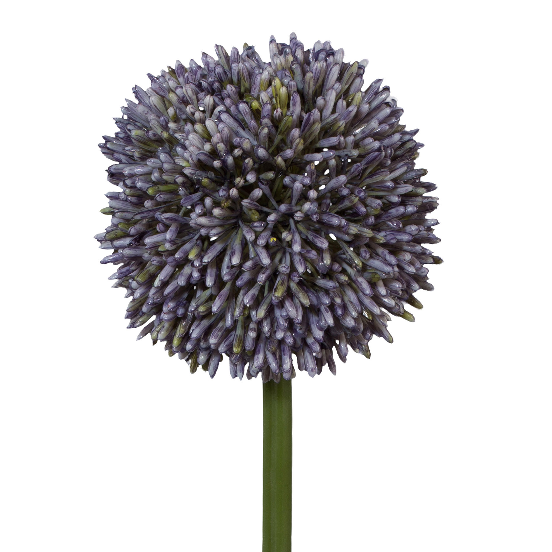Kunstblume - Allium, 64 cm, lila
