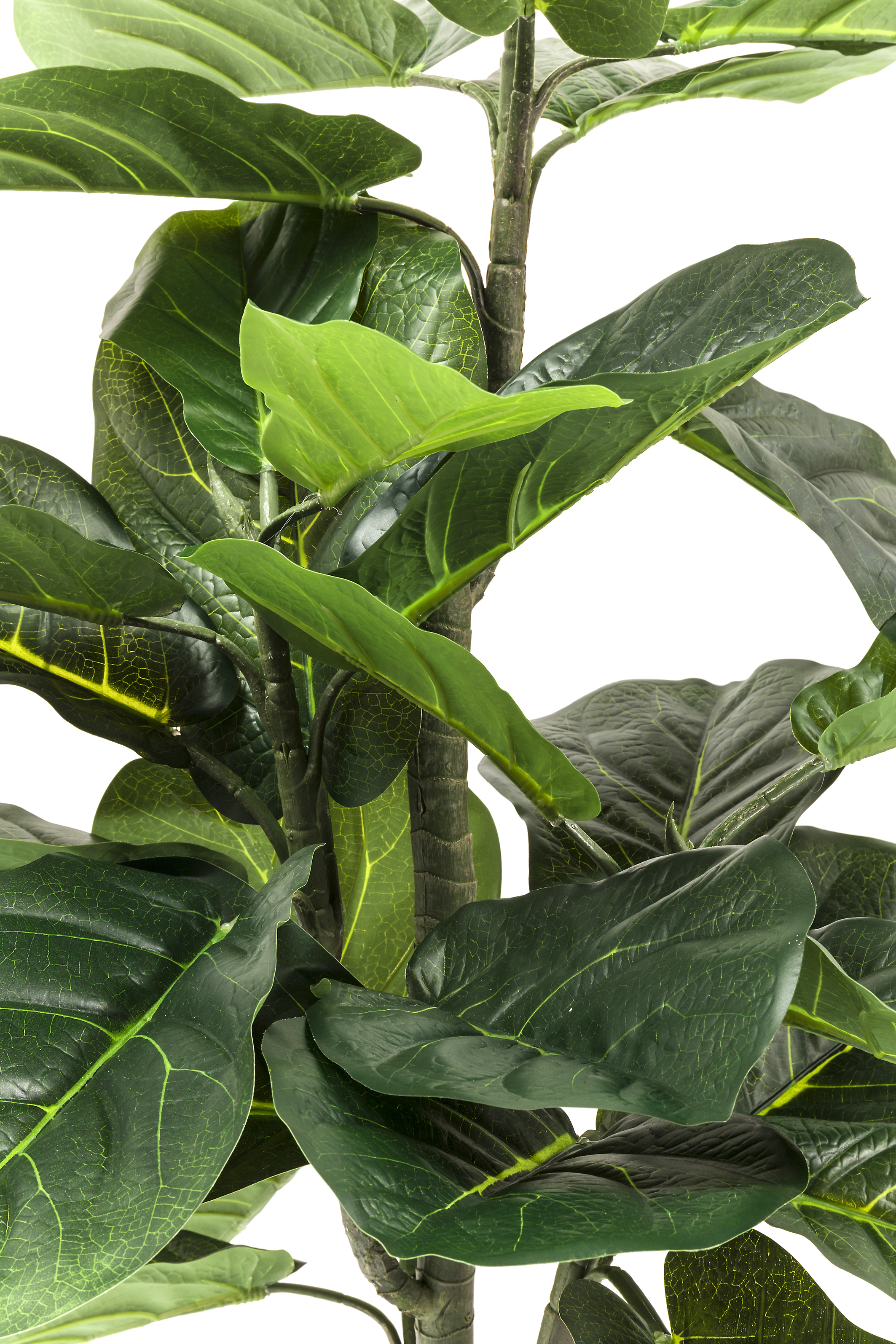Deko Pflanze Fiddle Leaf - Accessoires