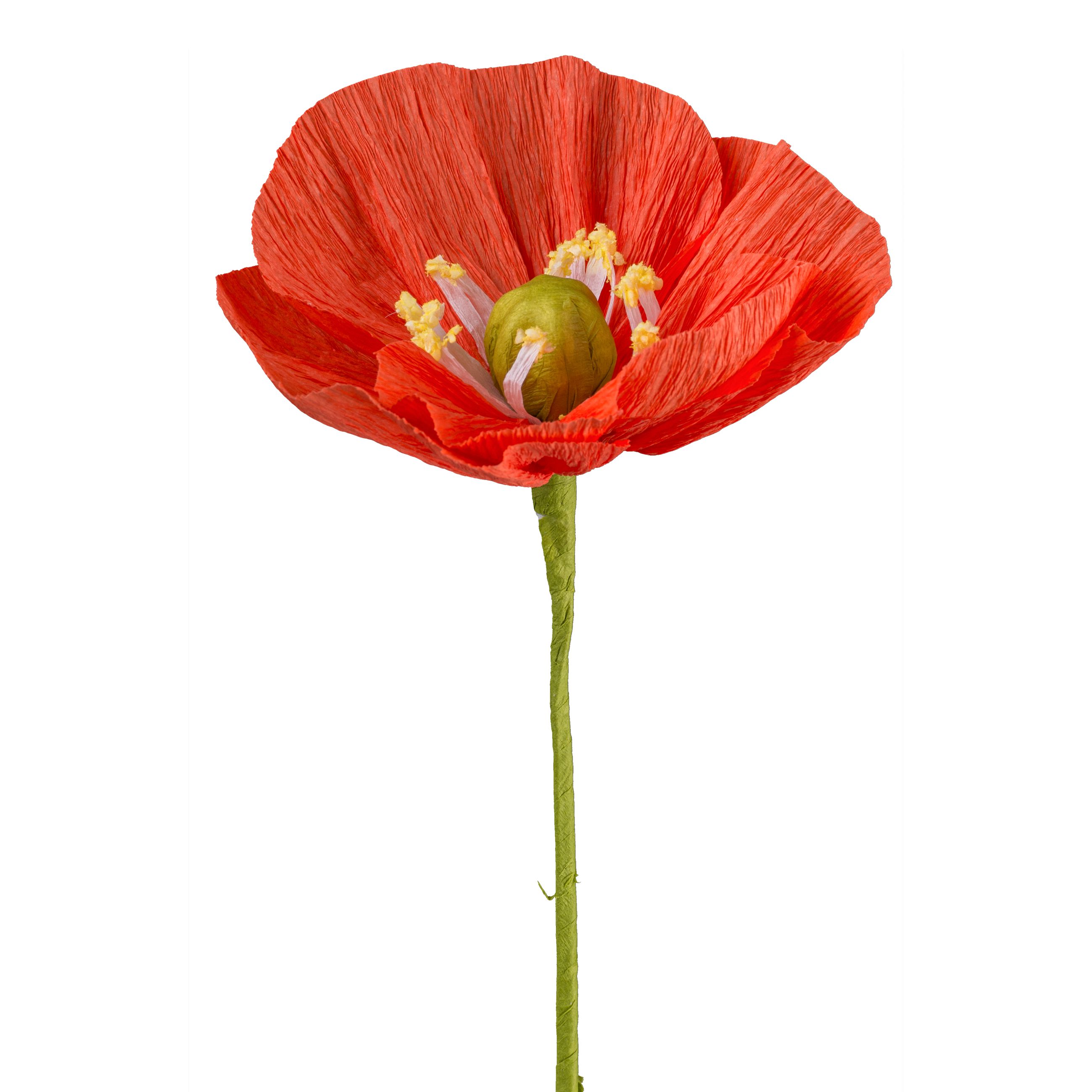 Papierblume - Papierblume Mohn, 45 cm, orange