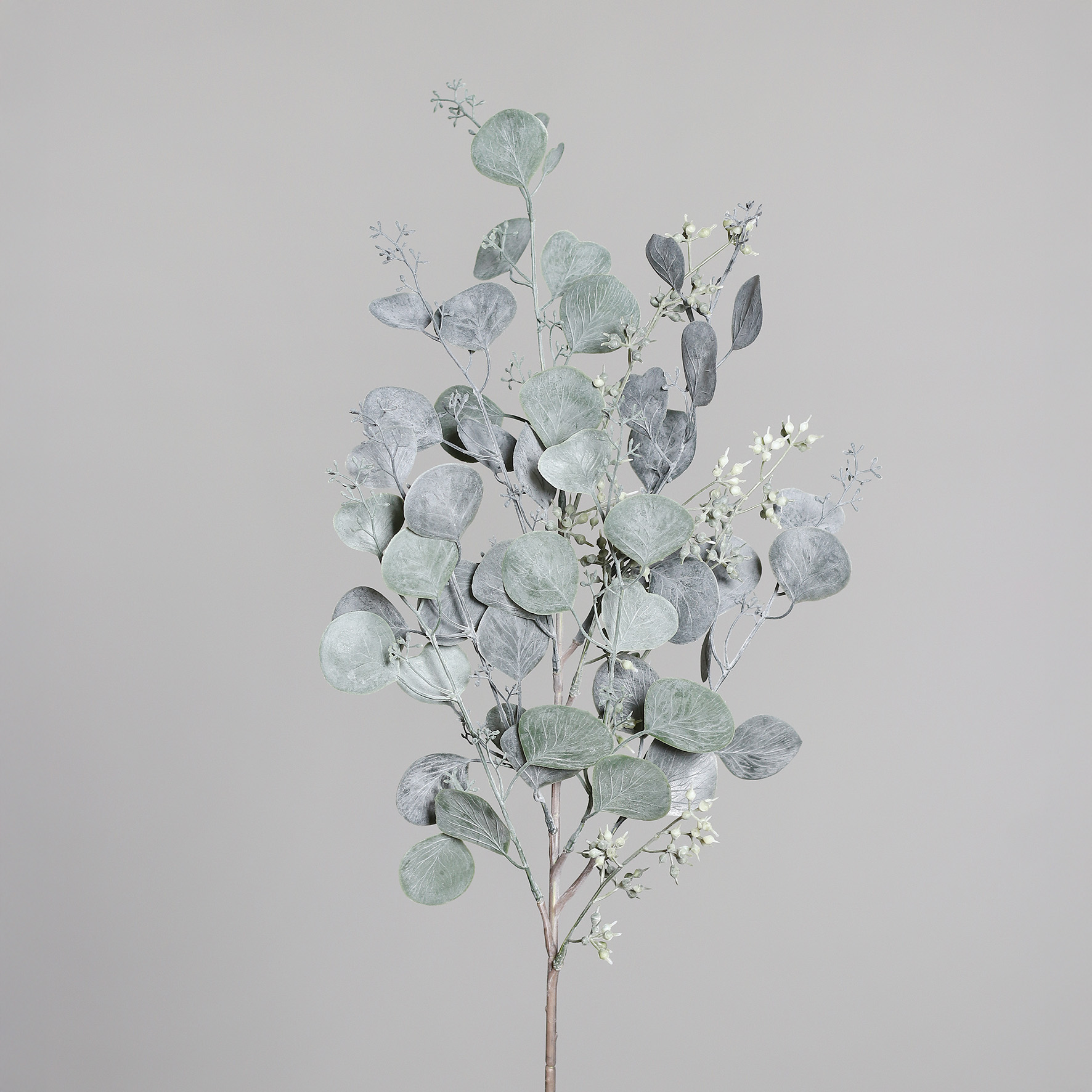 Eukalyptus Zweig mit Blütenknospen, ca. 64 cm - grün