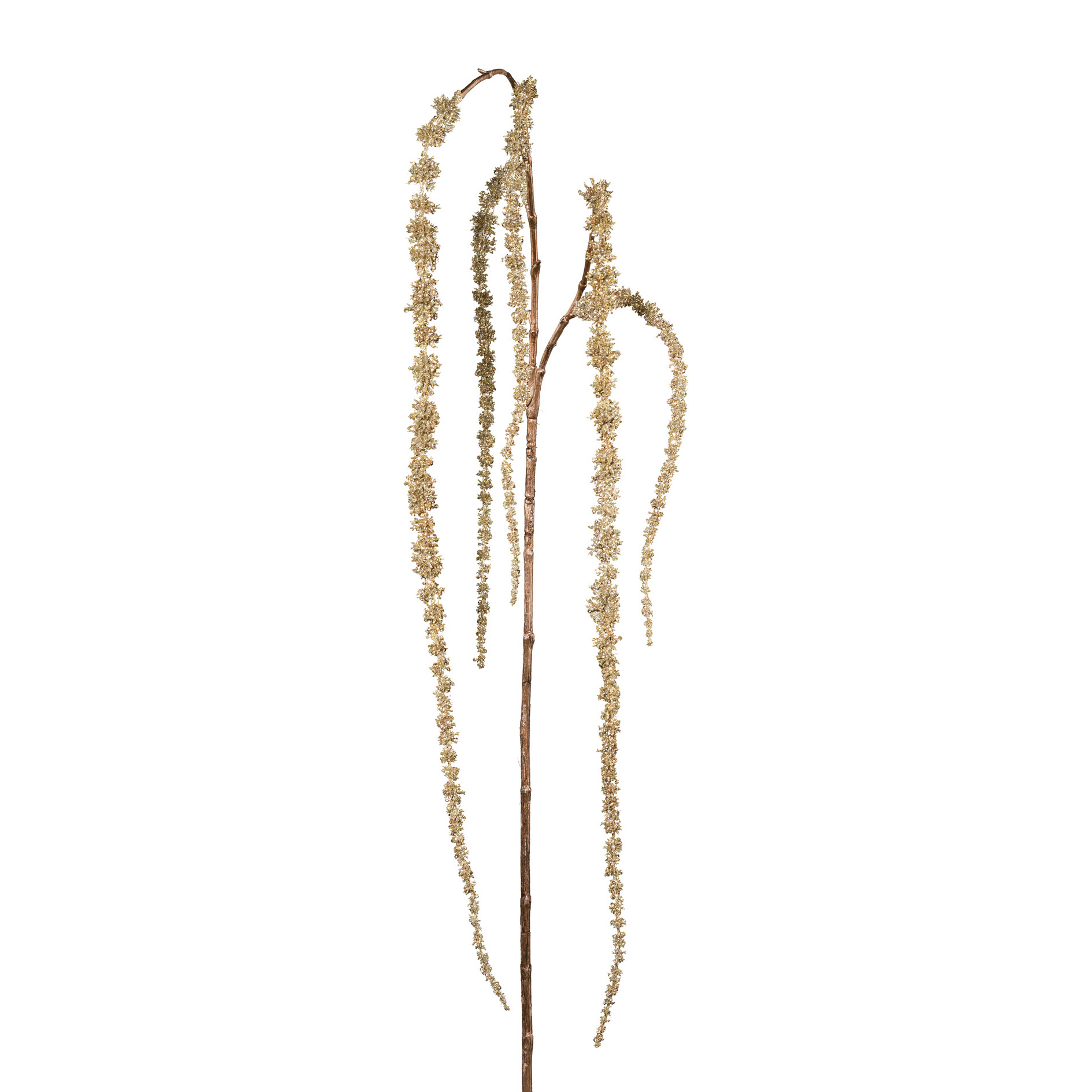 Amaranthus, - AMARANTHUS
