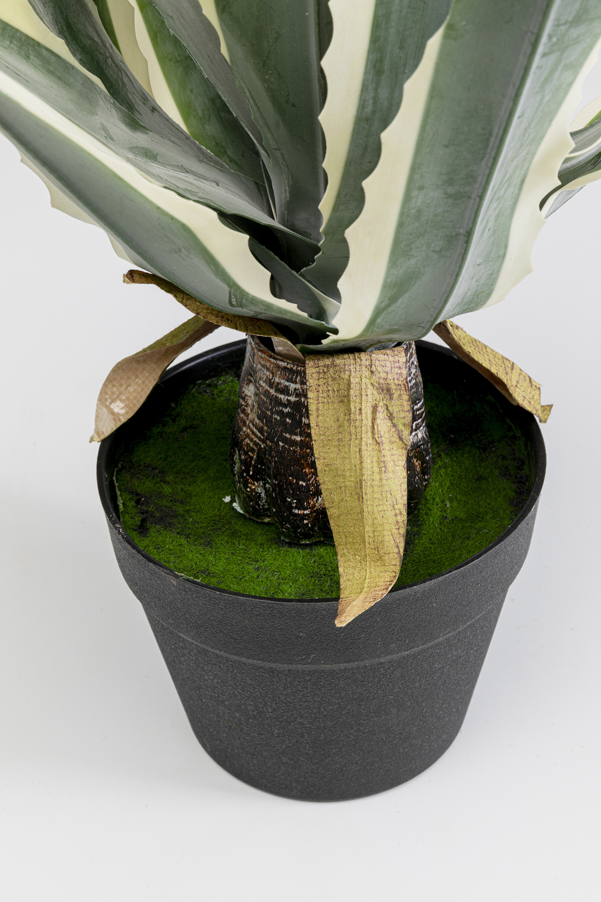 Deko Pflanze Agave - Accessoires