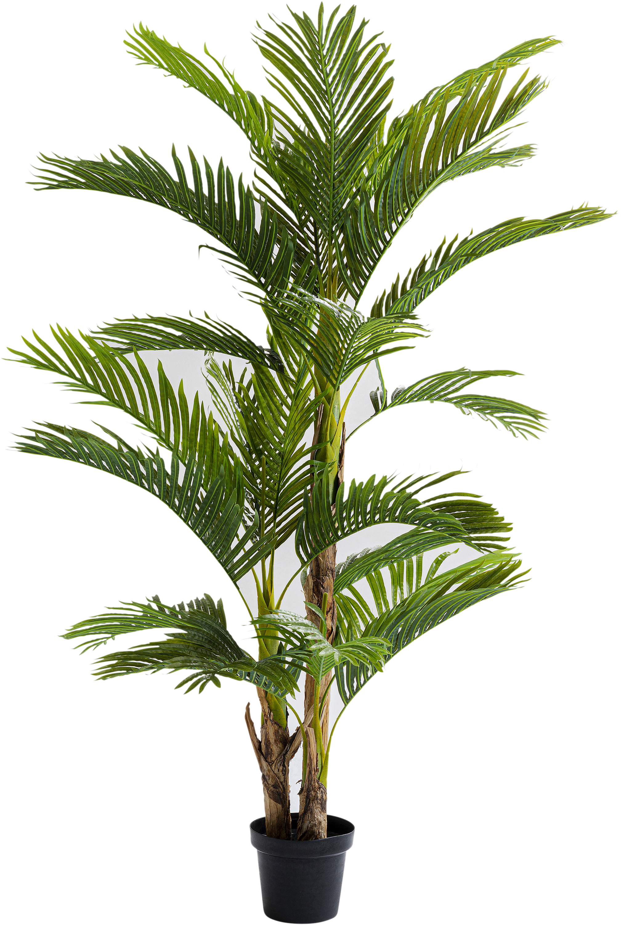 Deko Pflanze Palm Tree - Accessoires