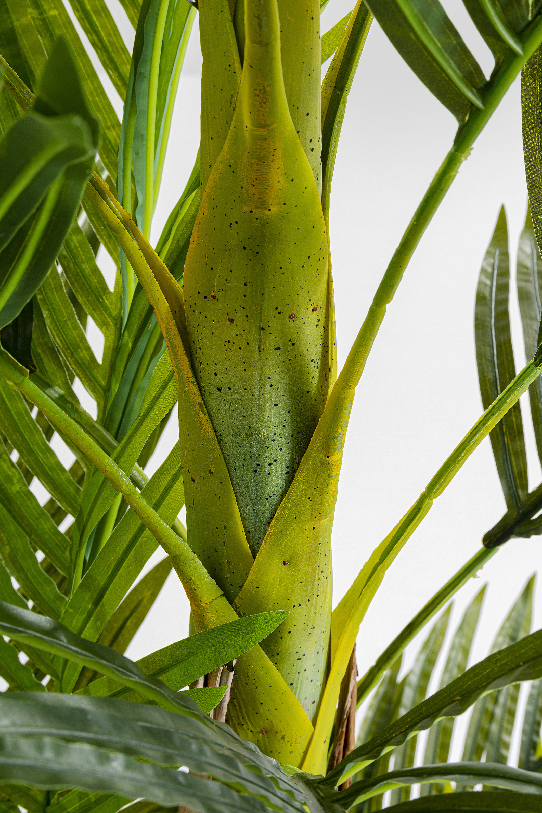 Deko Pflanze Palm Tree - Accessoires