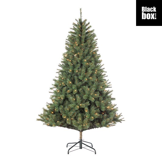 LED Tannenbaum Norwood grün 200L - Höhe ca. 155cm Ø 97cm
