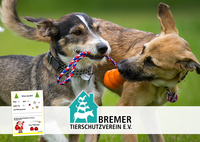 Wunschbaum • Wünsche Bremer Tierschutz E.V. • Gelber Zettel