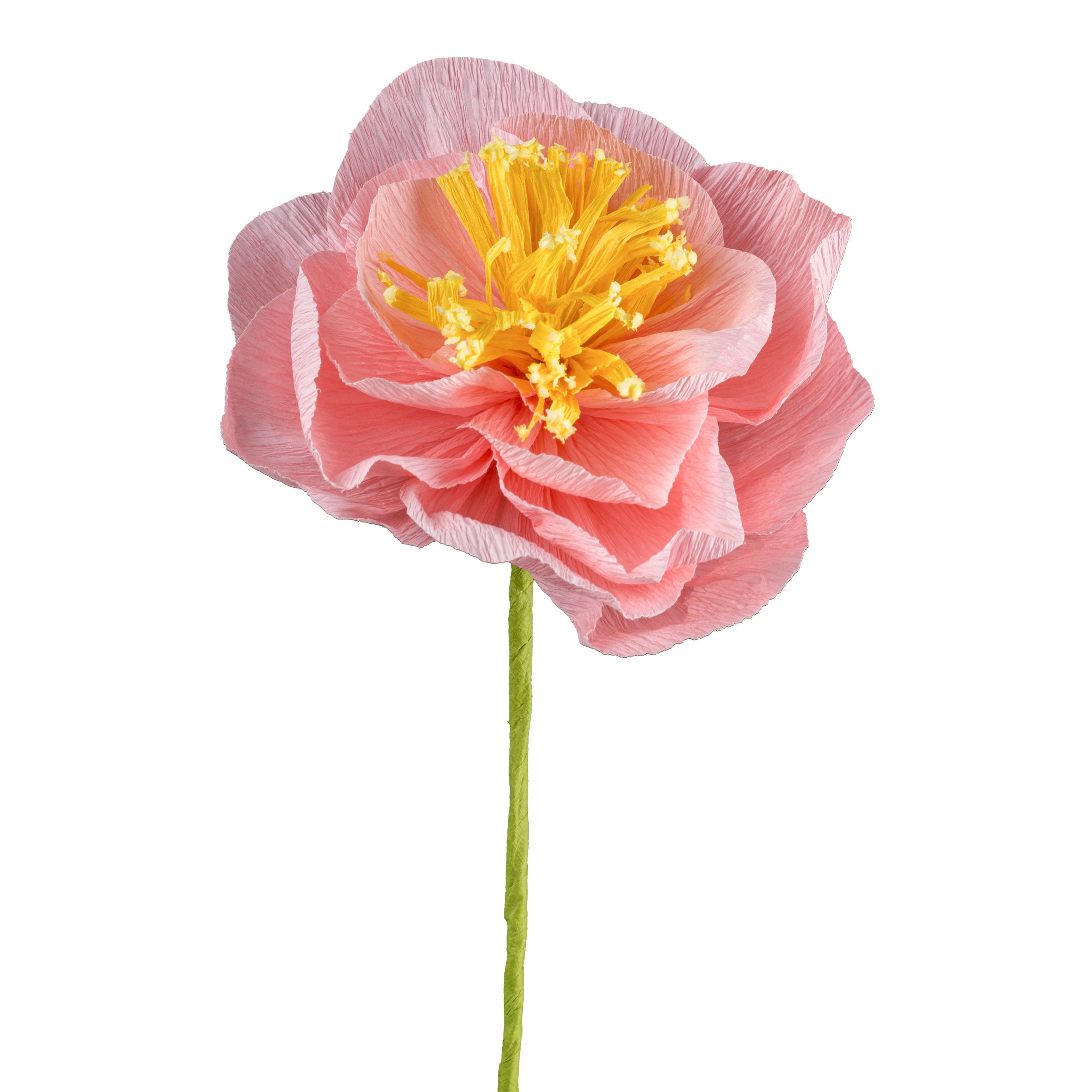 Papierblume - Papierblume Kamelie, 45 cm,dunkelrosa