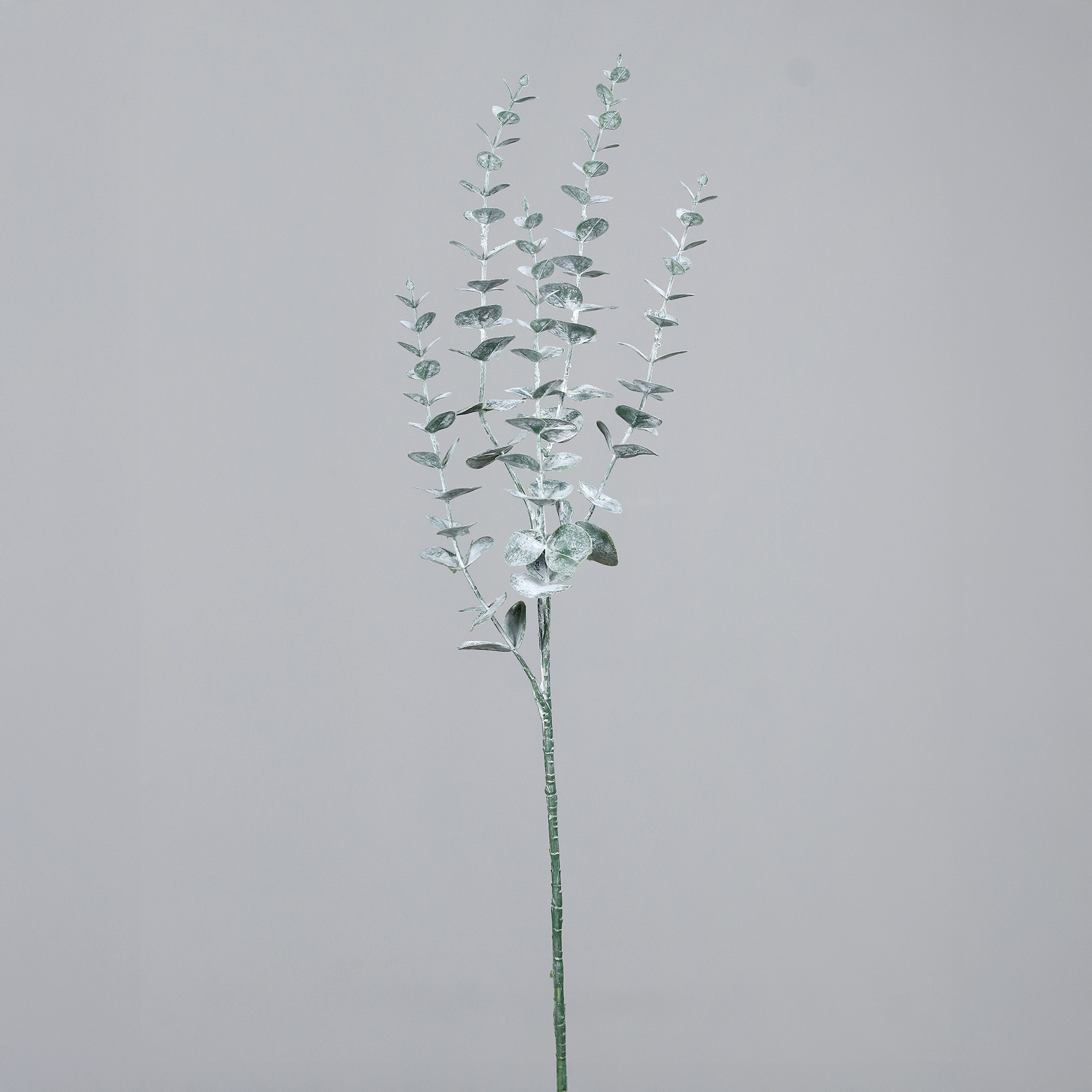 Eukalyptuszweig, ca.  73 cm - grün