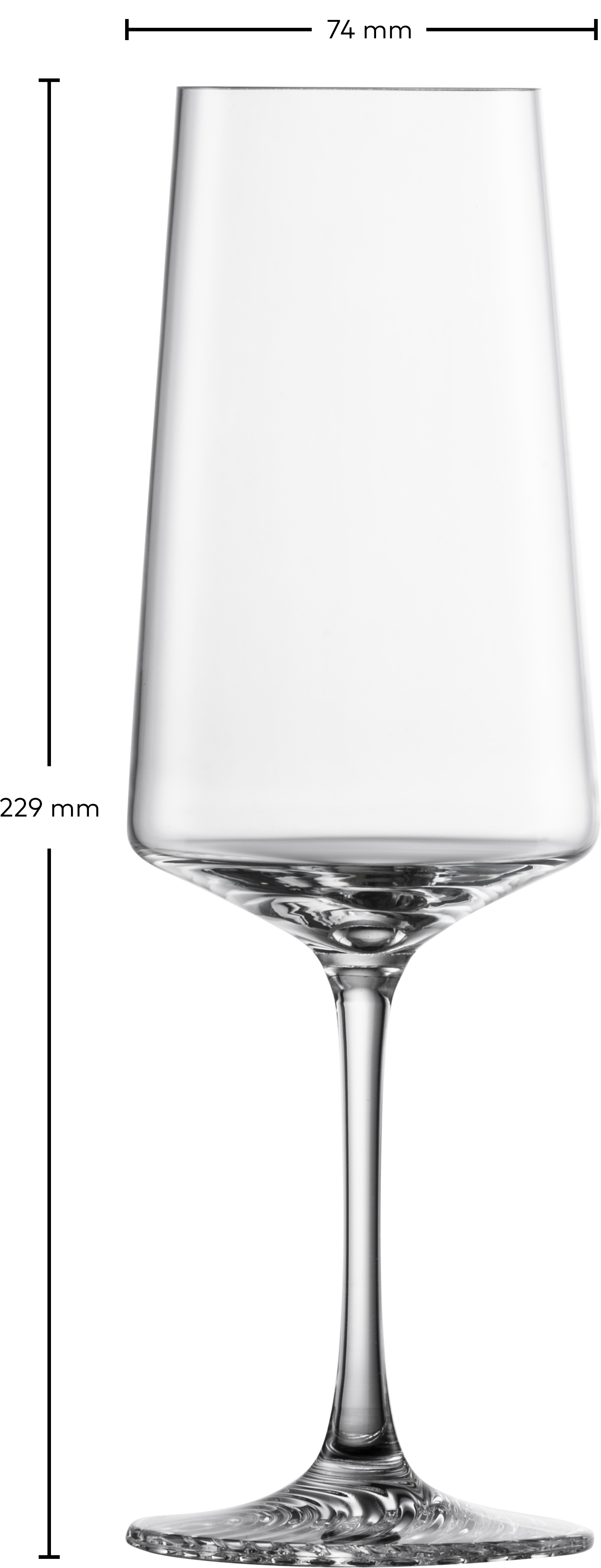 Champagnerglas Echo, - CHAMPAGNER