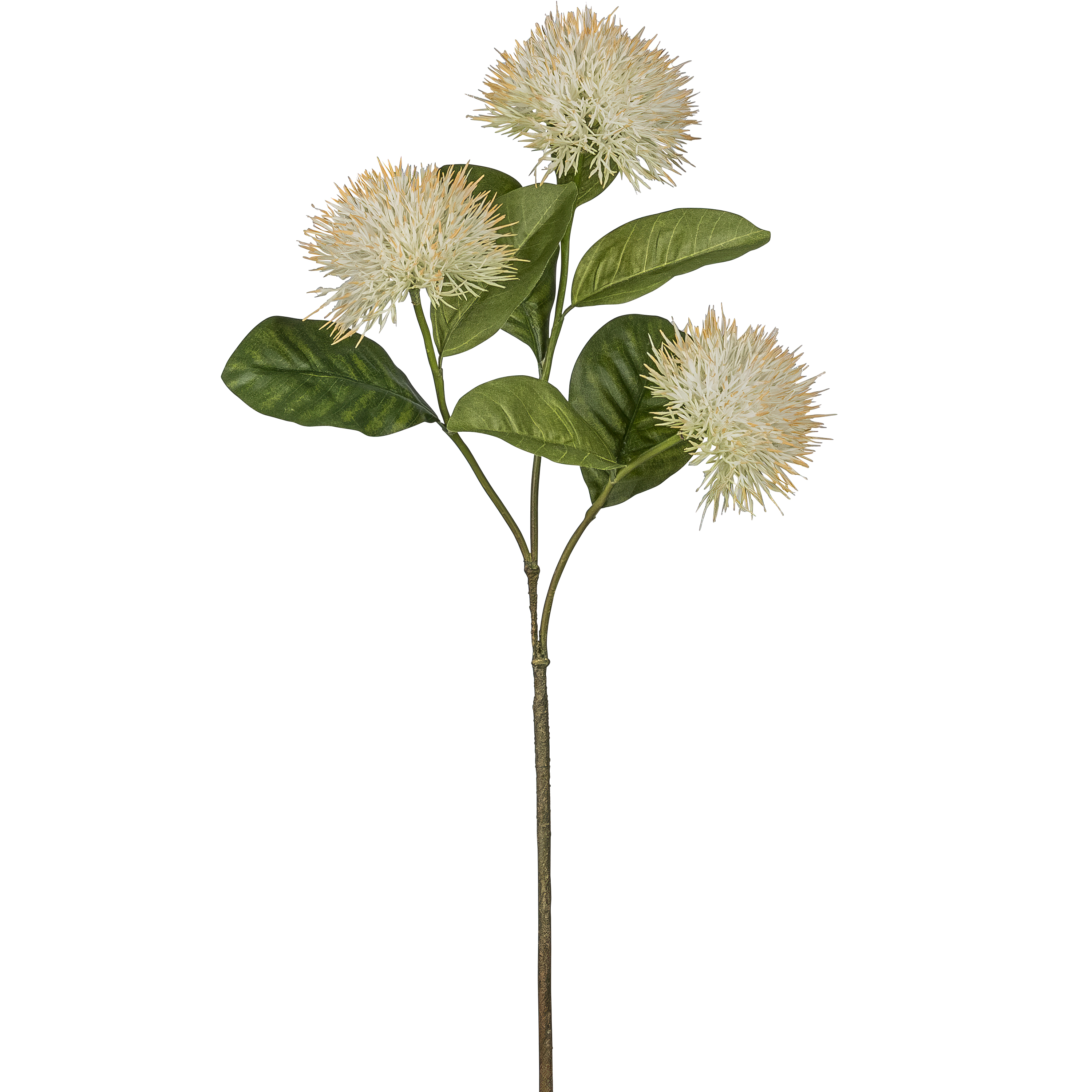 Ixorazweig - 87cm, weiß