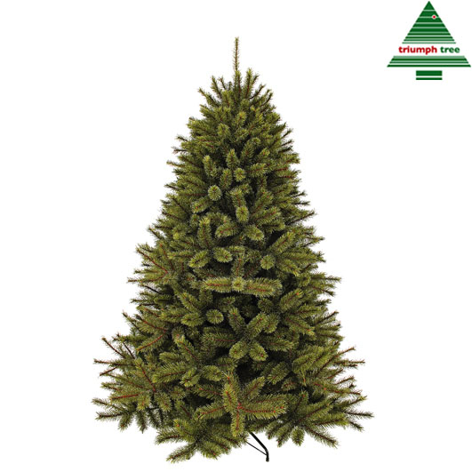 Tannenbaum Waldkiefer - 96L TIPS 396 - h230xd157cm