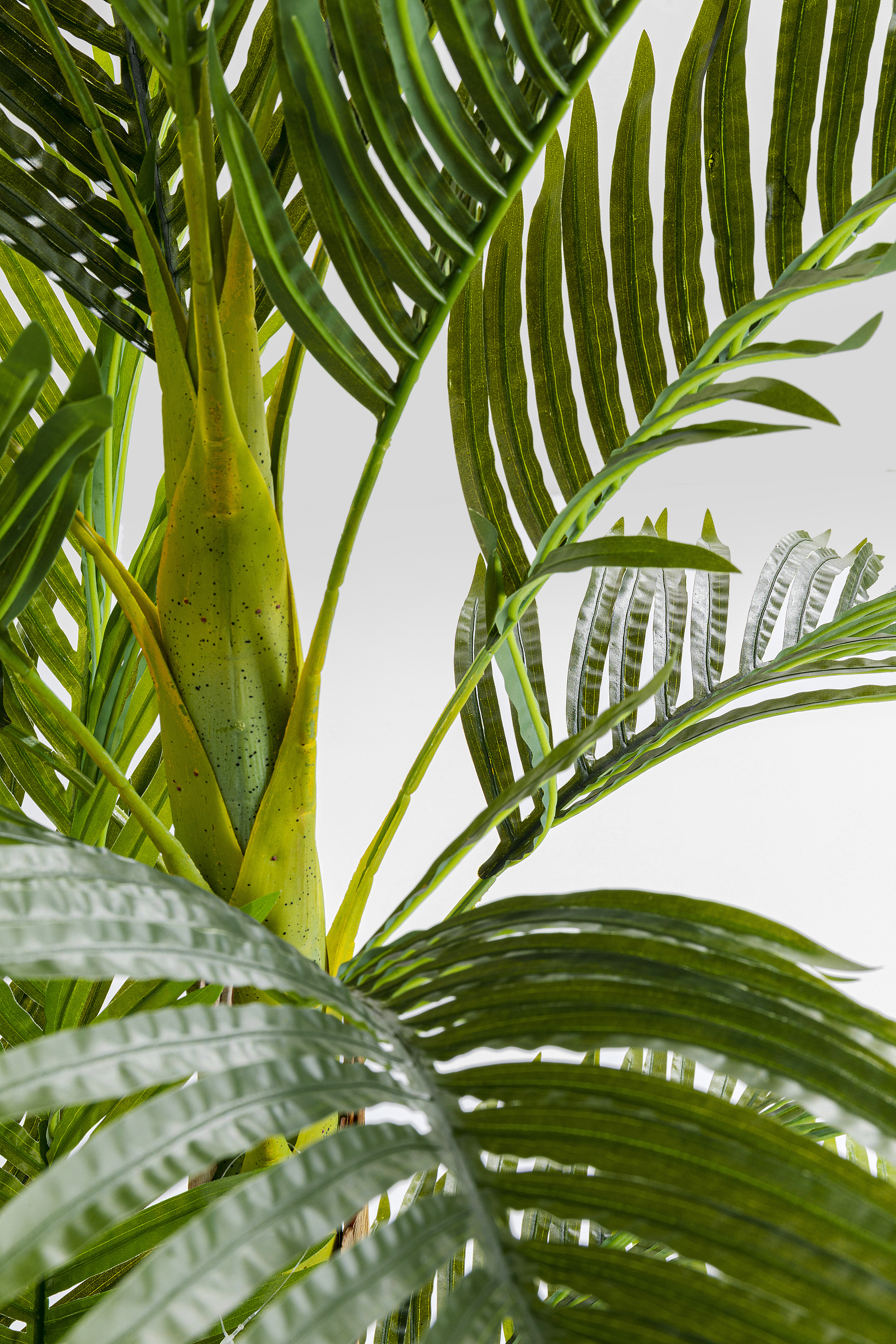 Deko Pflanze Palm Tree - Accessoires