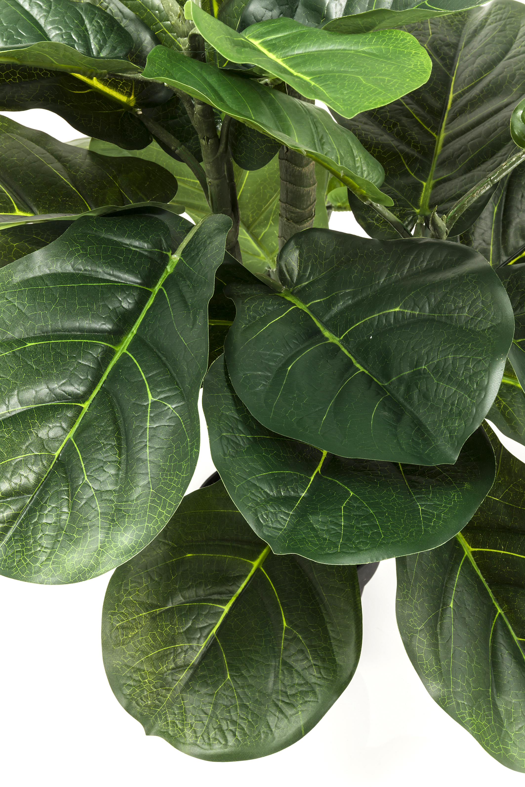 Deko Pflanze Fiddle Leaf - Accessoires