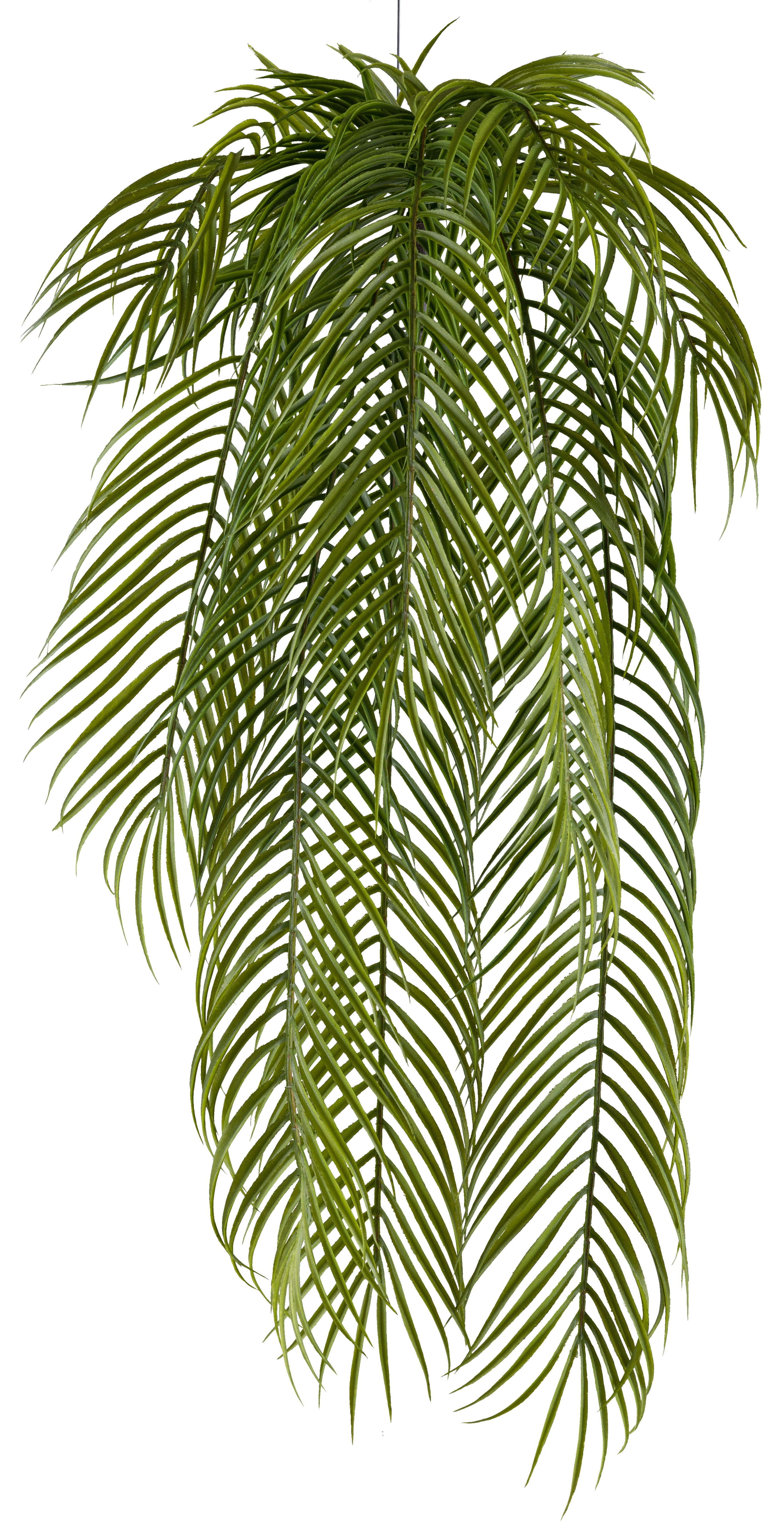 Palmblatthänger  - 80cm, grün