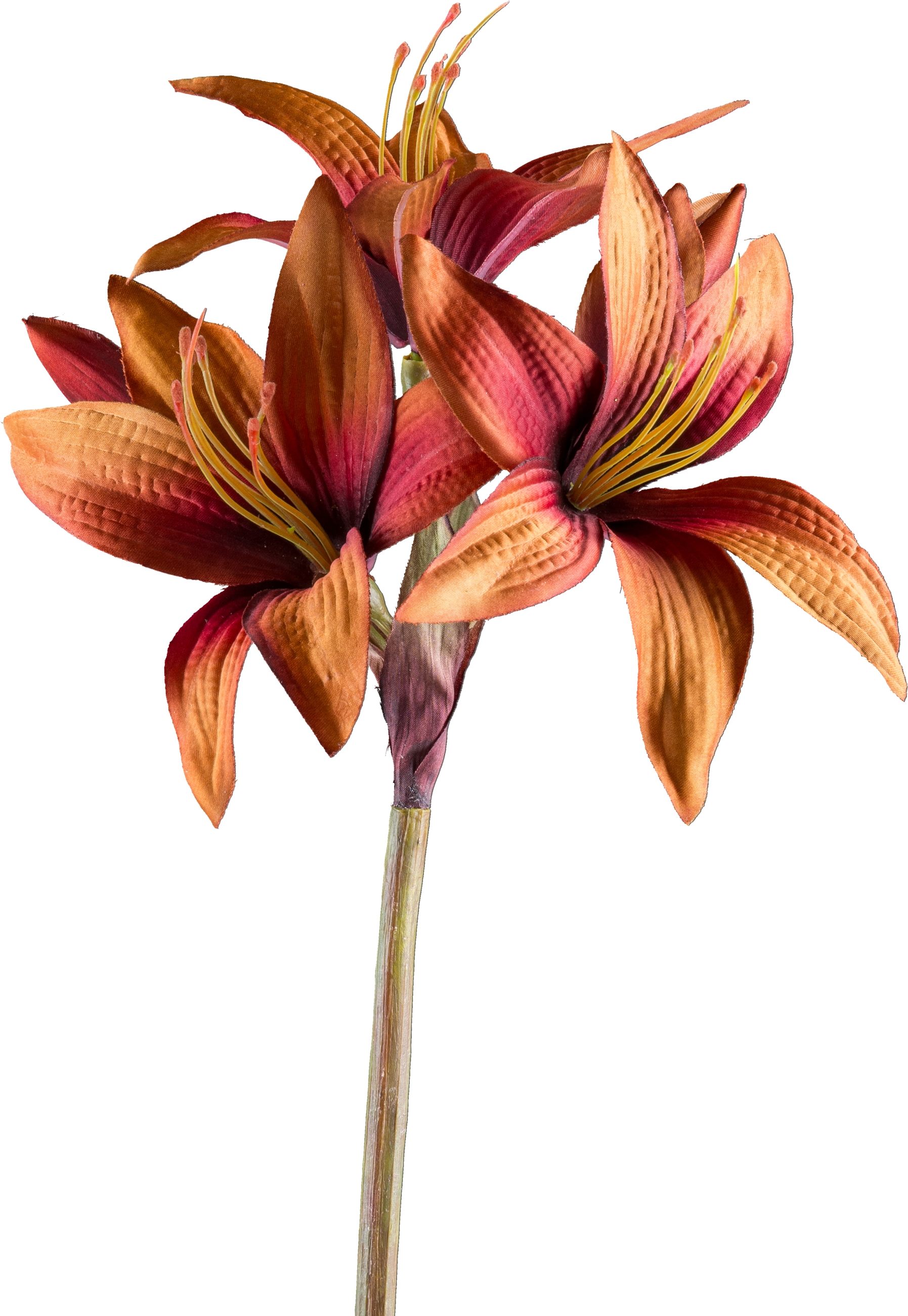 Kunstblume - Amaryllis, 76cm, zimt