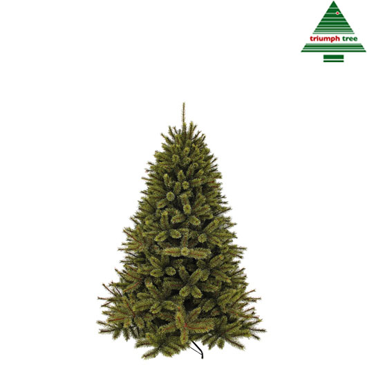 Tannenbaum Waldkiefer - TIPS 618 - h155xd119cm