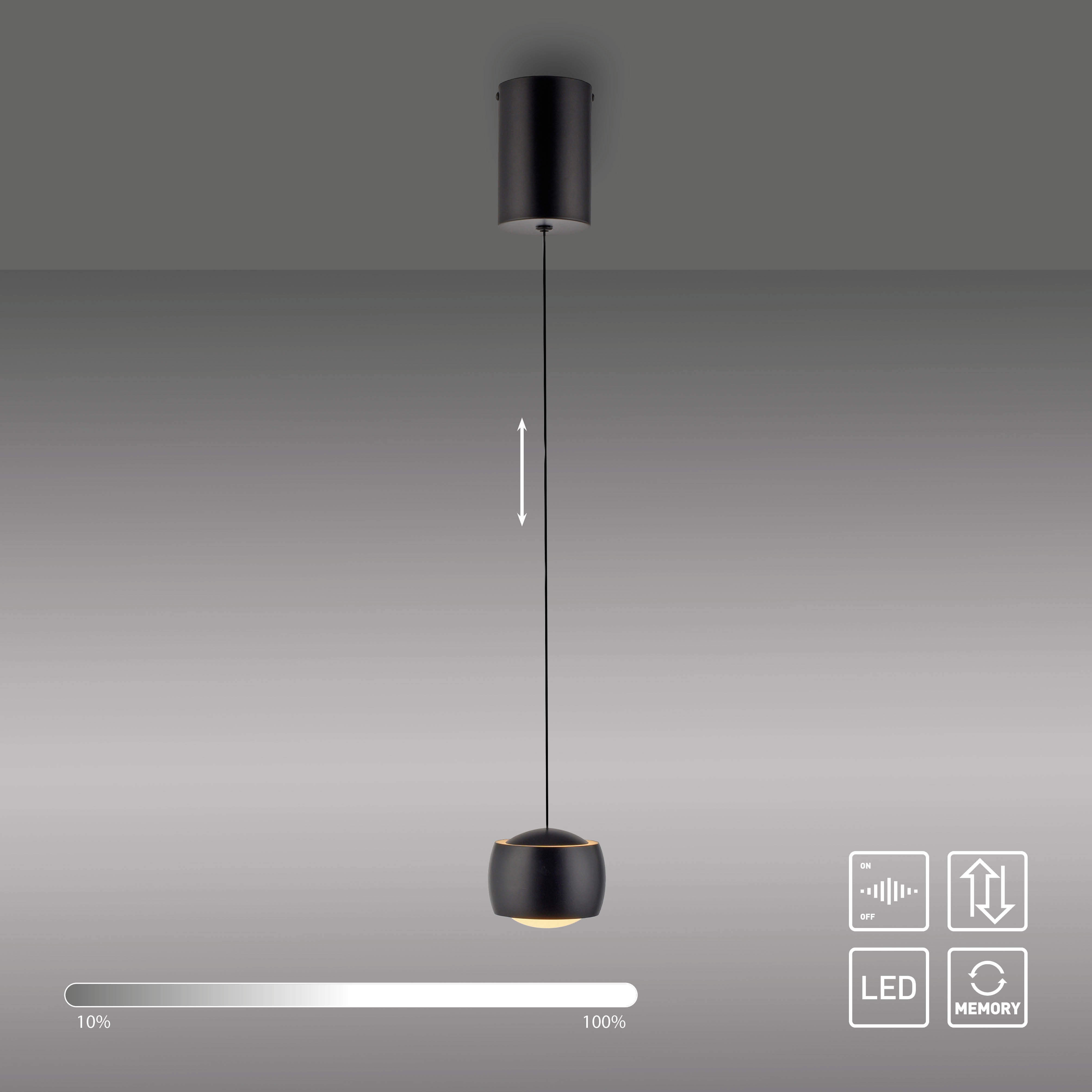 Pendelleuchte FUMEA - 1-flg., LED, schwarz, Höhenverstellbar