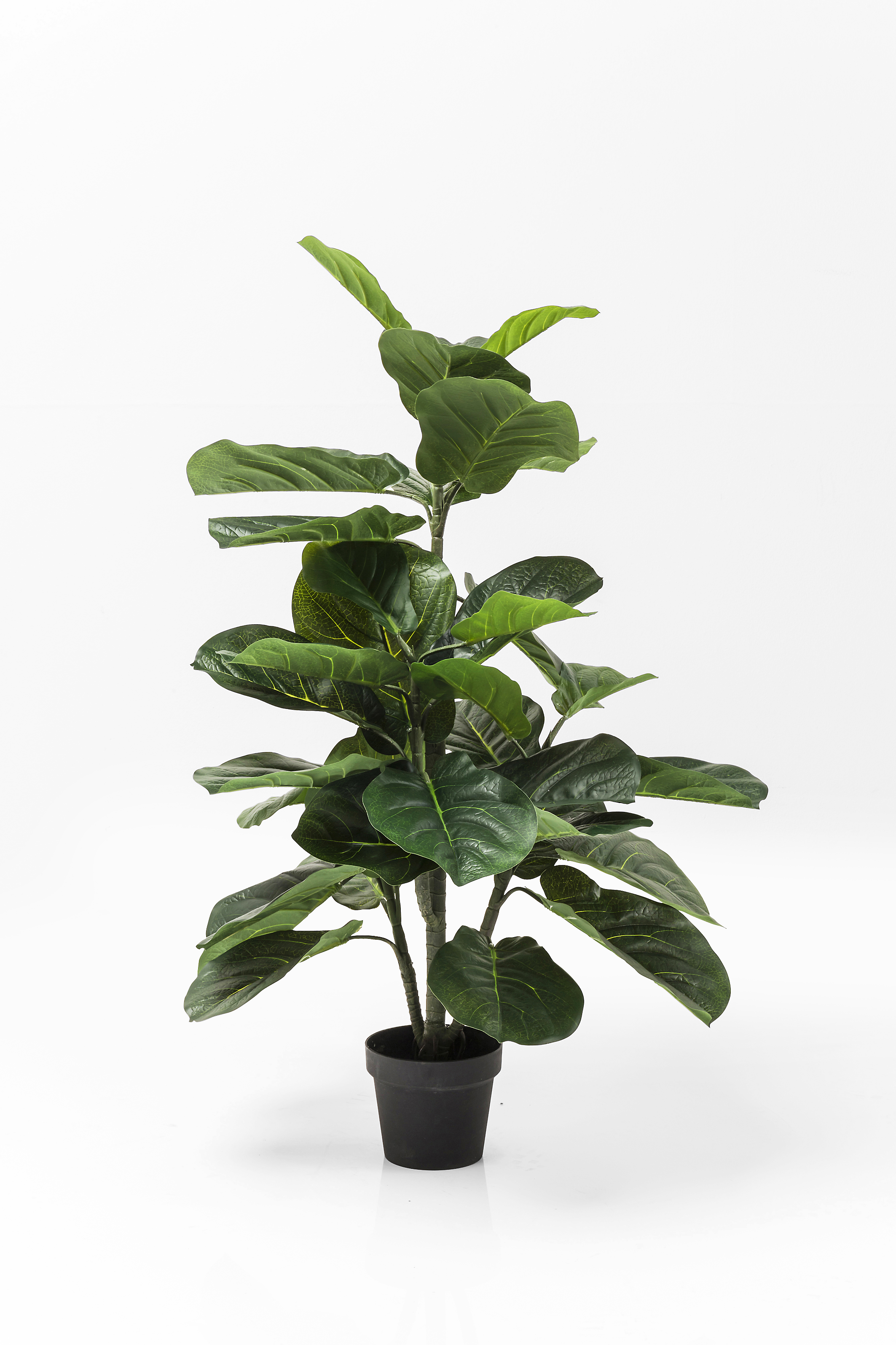 Deko Pflanze Fiddle Leaf - Accessoires