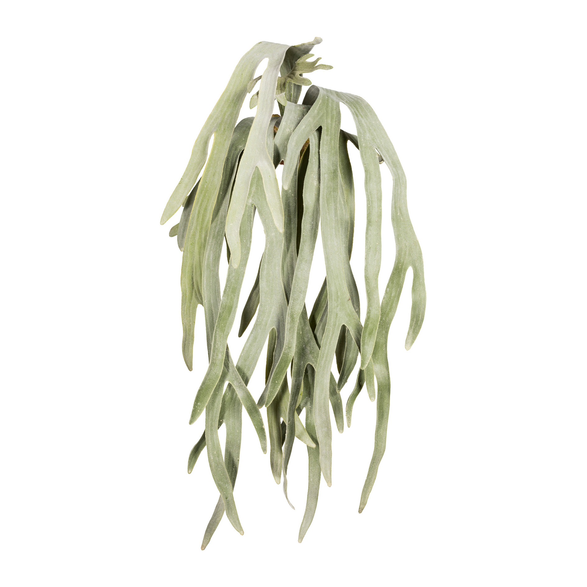 Kunstfarn - Geweihfarnhänger x7, ca 80cm, Kunststoff