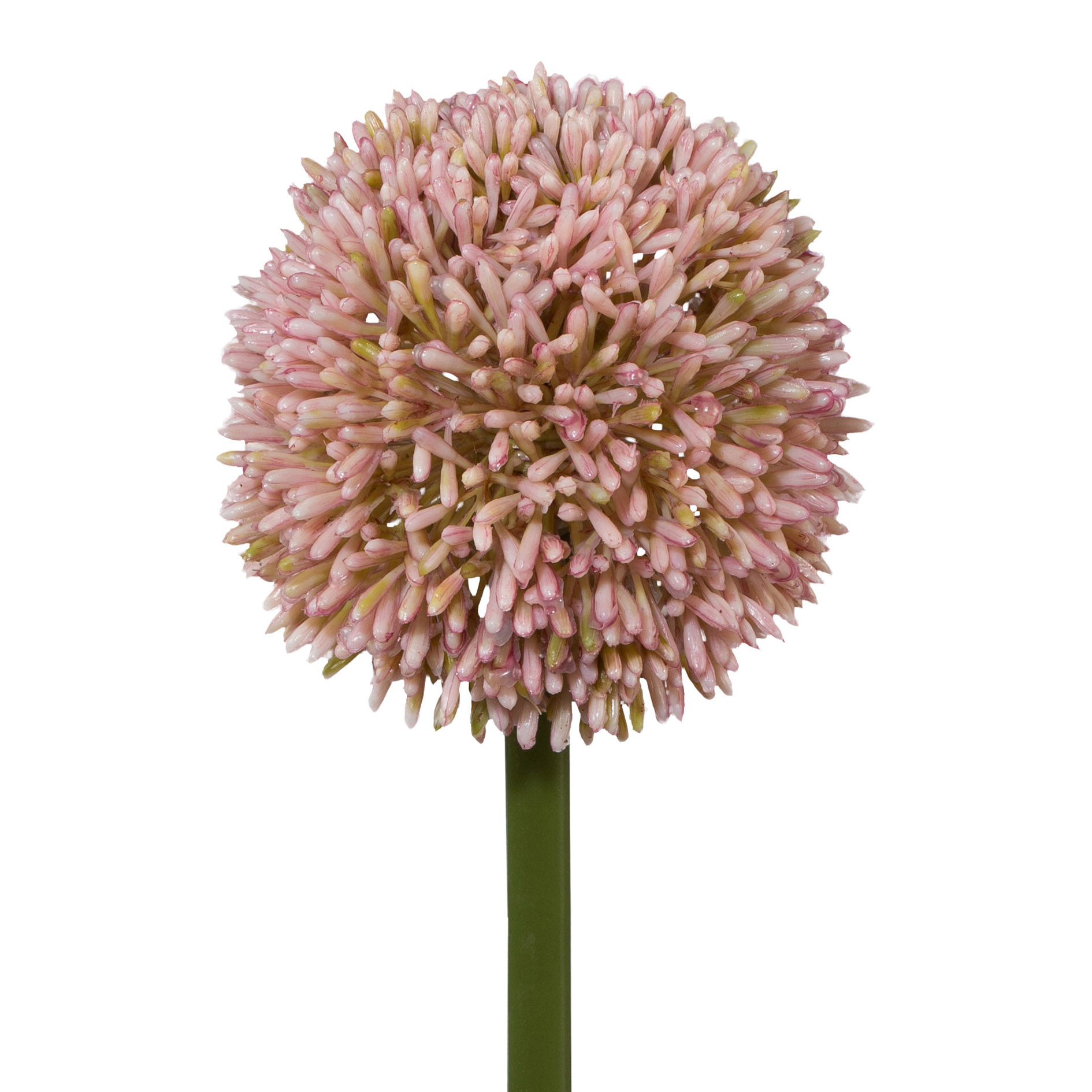 Kunstblume - Allium, 64 cm, rosa