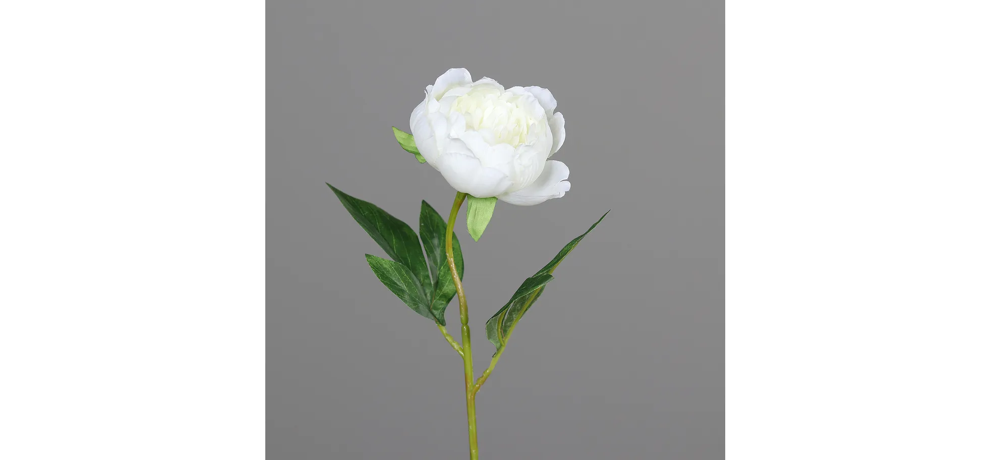 Deko Päonie - L ca. 48 cm, Creme