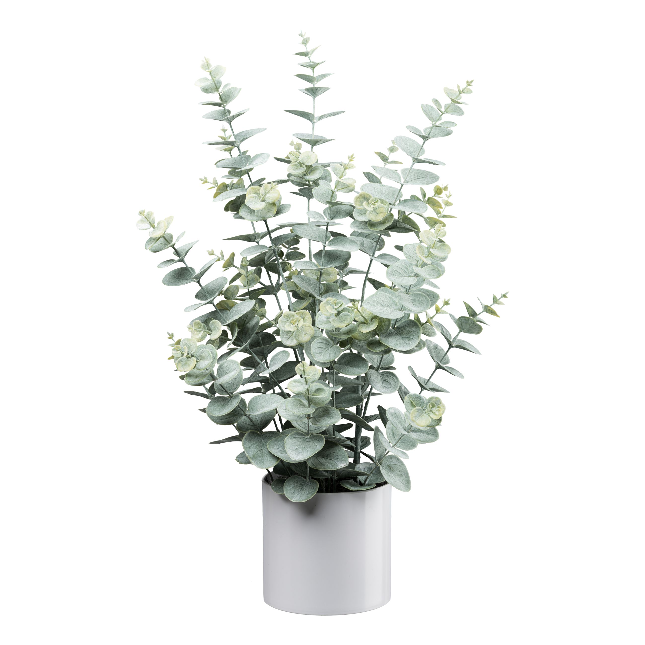 Eukalyptus, 66cm - im weißen melamintopf